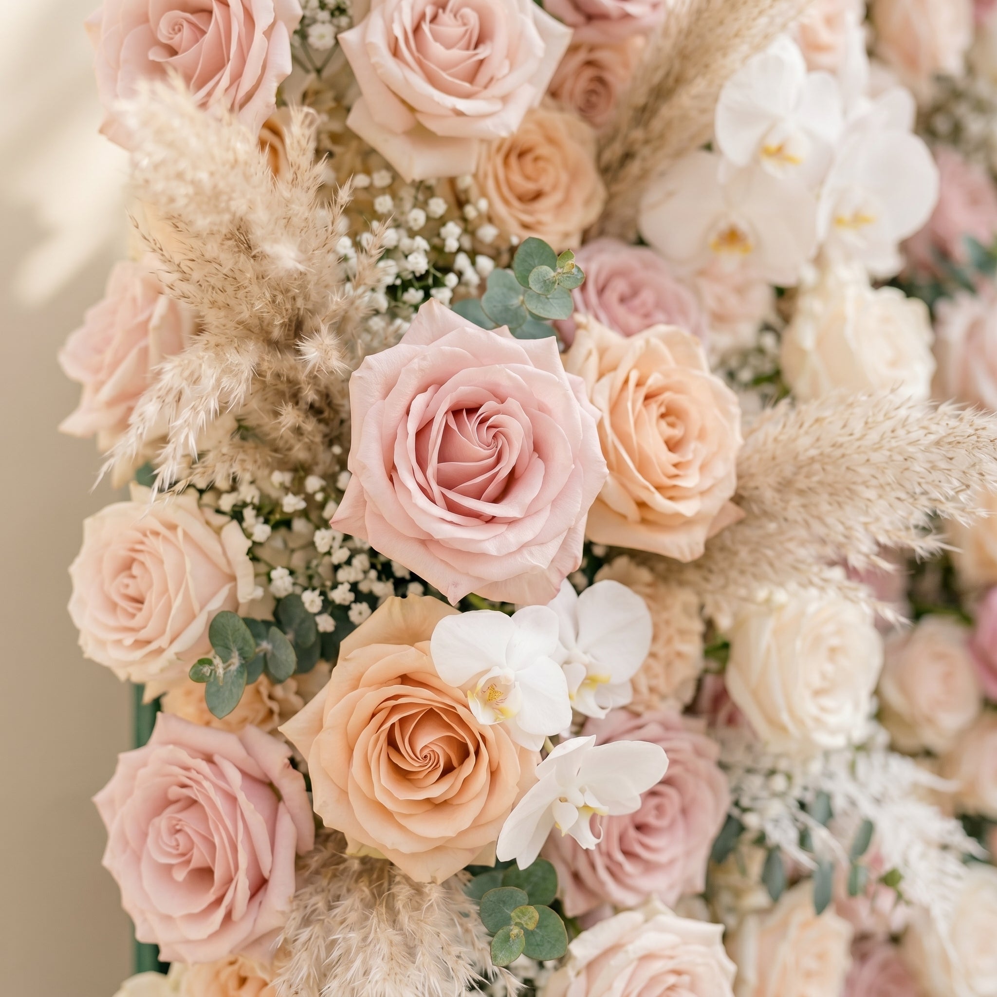 Elvenessa:5D Neutral Warm Blush Pink &amp; Ivory White Silk Rose Flower Wall Roll-Up Fabric Backdrop for Romantic Weddings &amp; Proposals