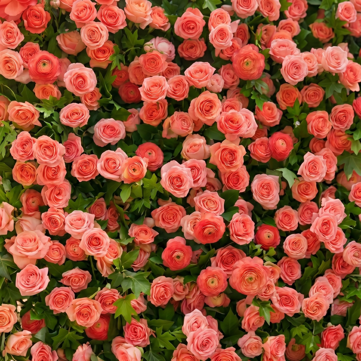 Elvenlena:Premium 5D Bright Coral Floral Wall with Greenery Roll-Up Backdrop for Cheerful Outdoor Garden Events