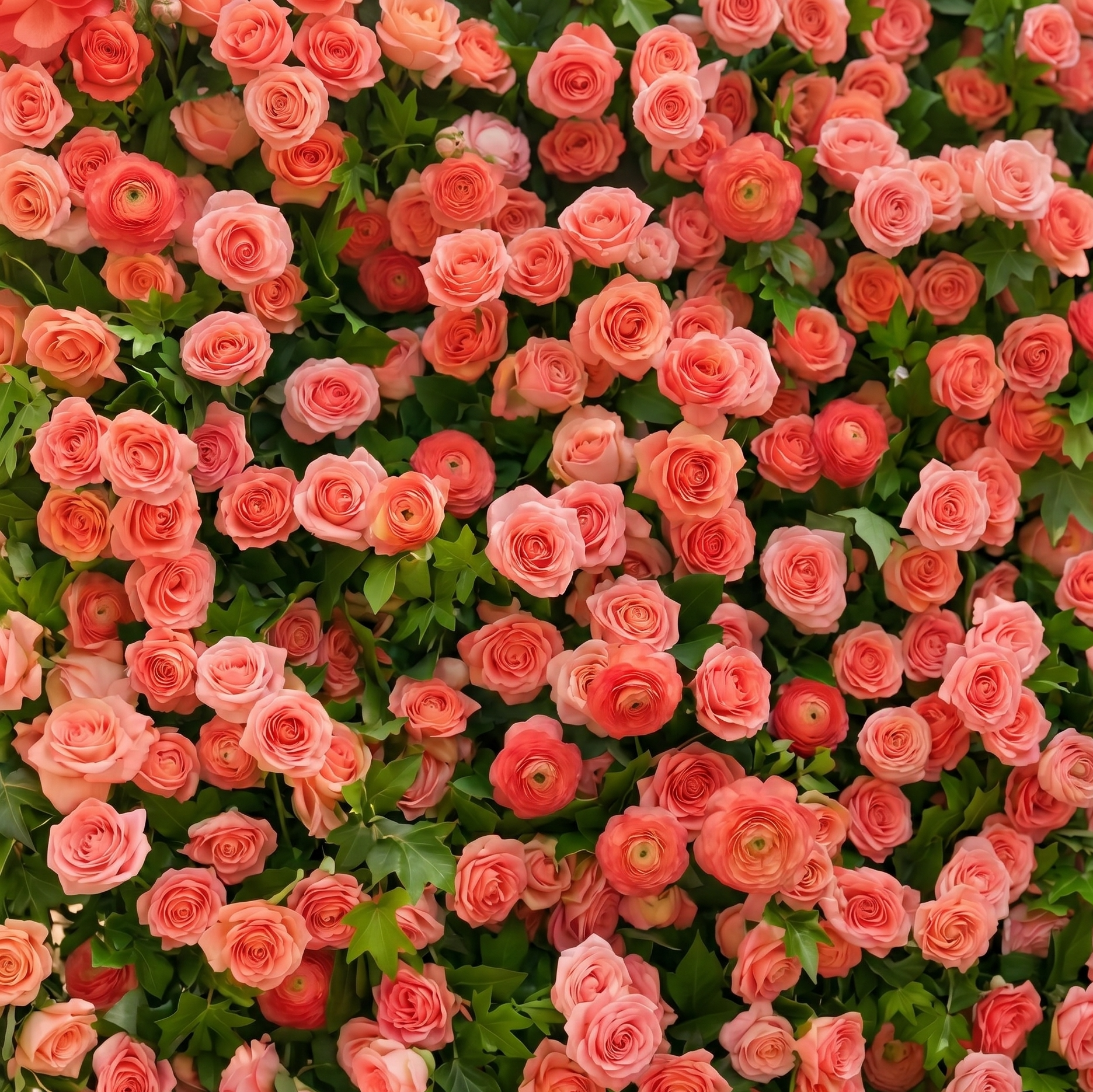Elvenlena:Premium 5D Bright Coral Floral Wall with Greenery Roll-Up Backdrop for Cheerful Outdoor Garden Events
