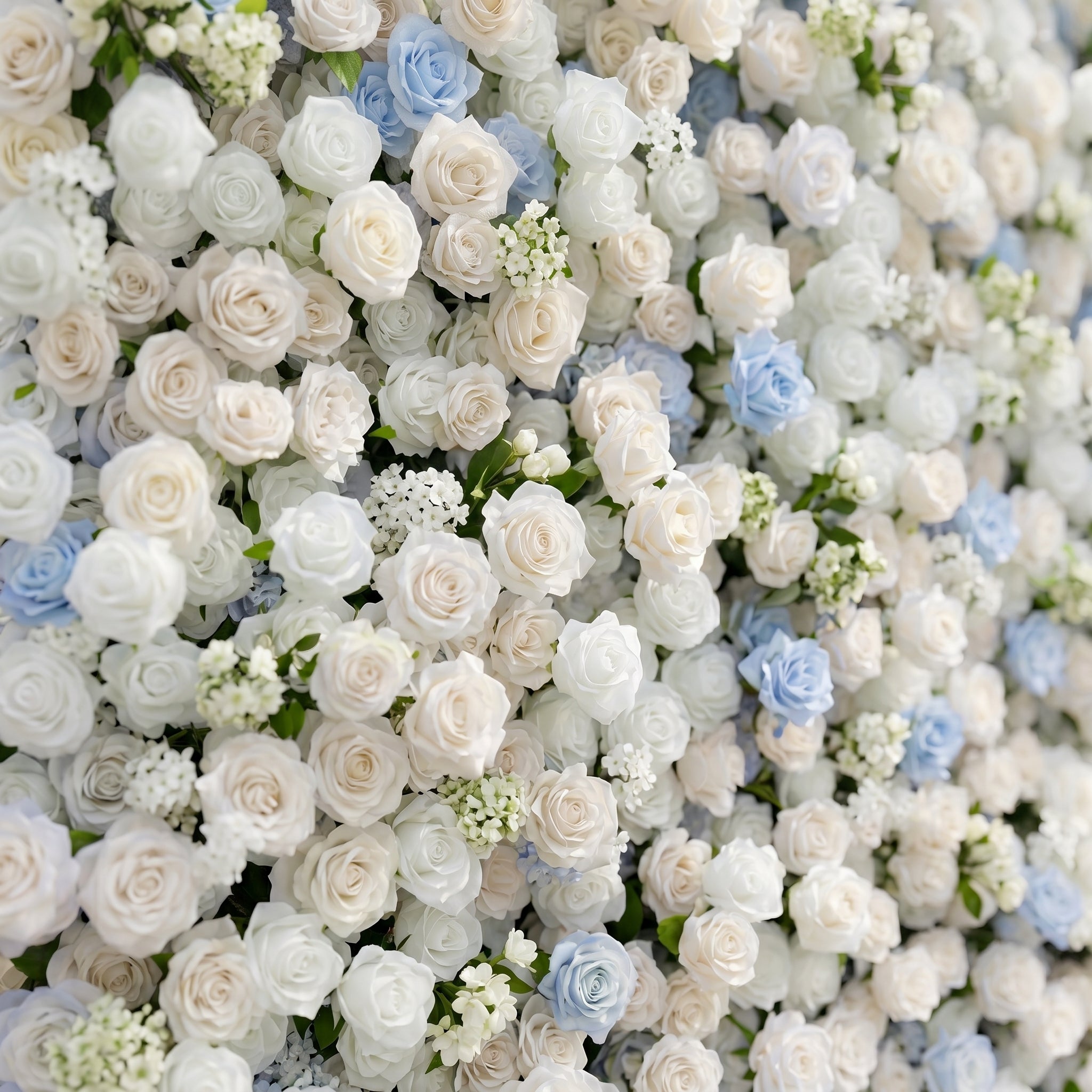 Fiorelle:5D Dusty Baby Blue &amp; Ivory White Silk Rose Flower Wall Roll-Up Fabric Backdrop for Romantic Weddings &amp; Proposals