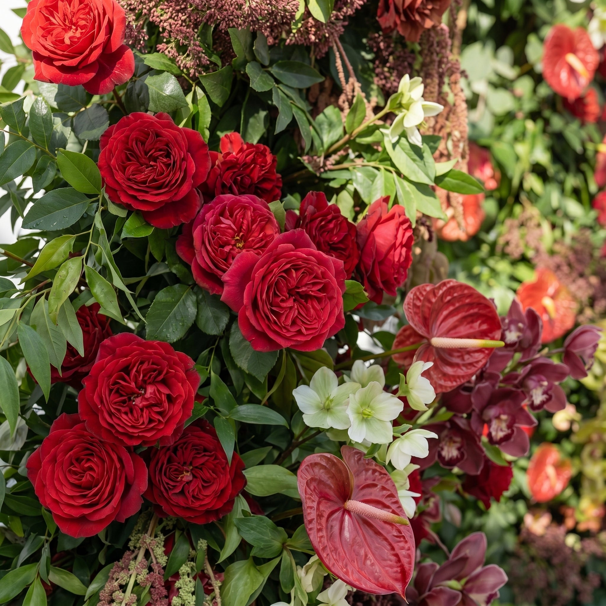 Fiorelle Horn Arch: Luxury Red Roses with natural Greenery Flower Arch for Garden Weddings and Events Decoration Incuding Frame