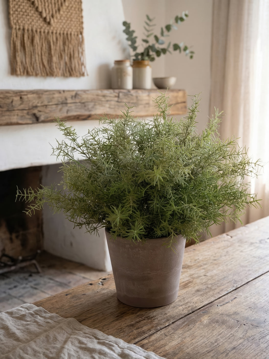 21.6" Artificial Asparagus Fern - Potted Greenery for Modern Minimalist Decor
