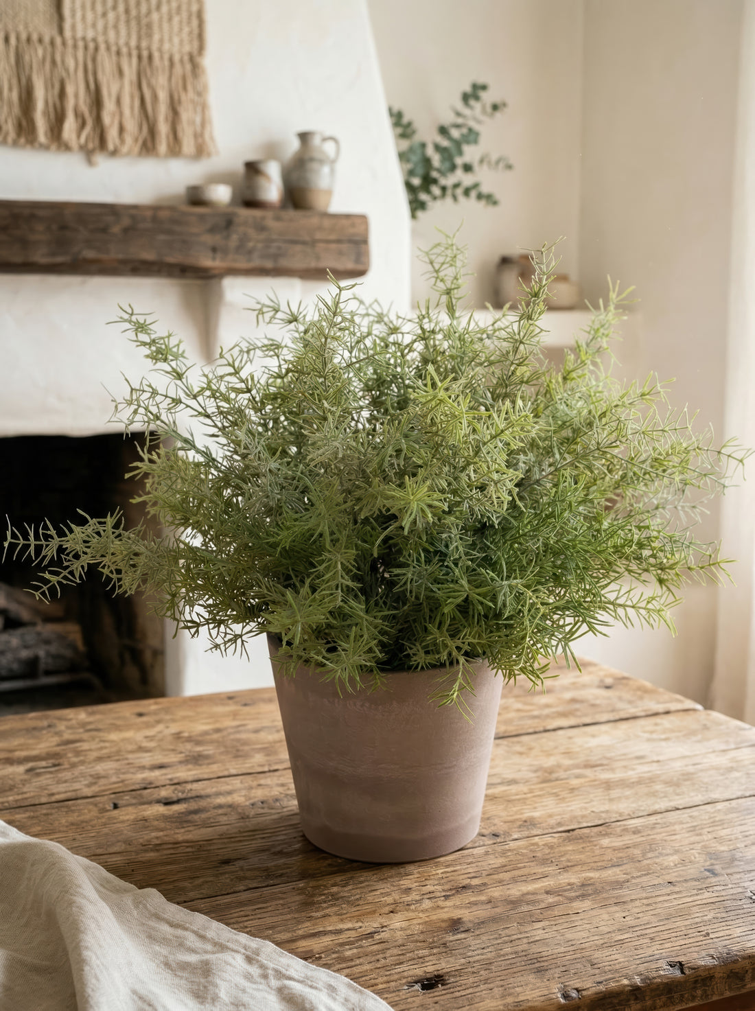 21.6" Artificial Asparagus Fern - Potted Greenery for Modern Minimalist Decor