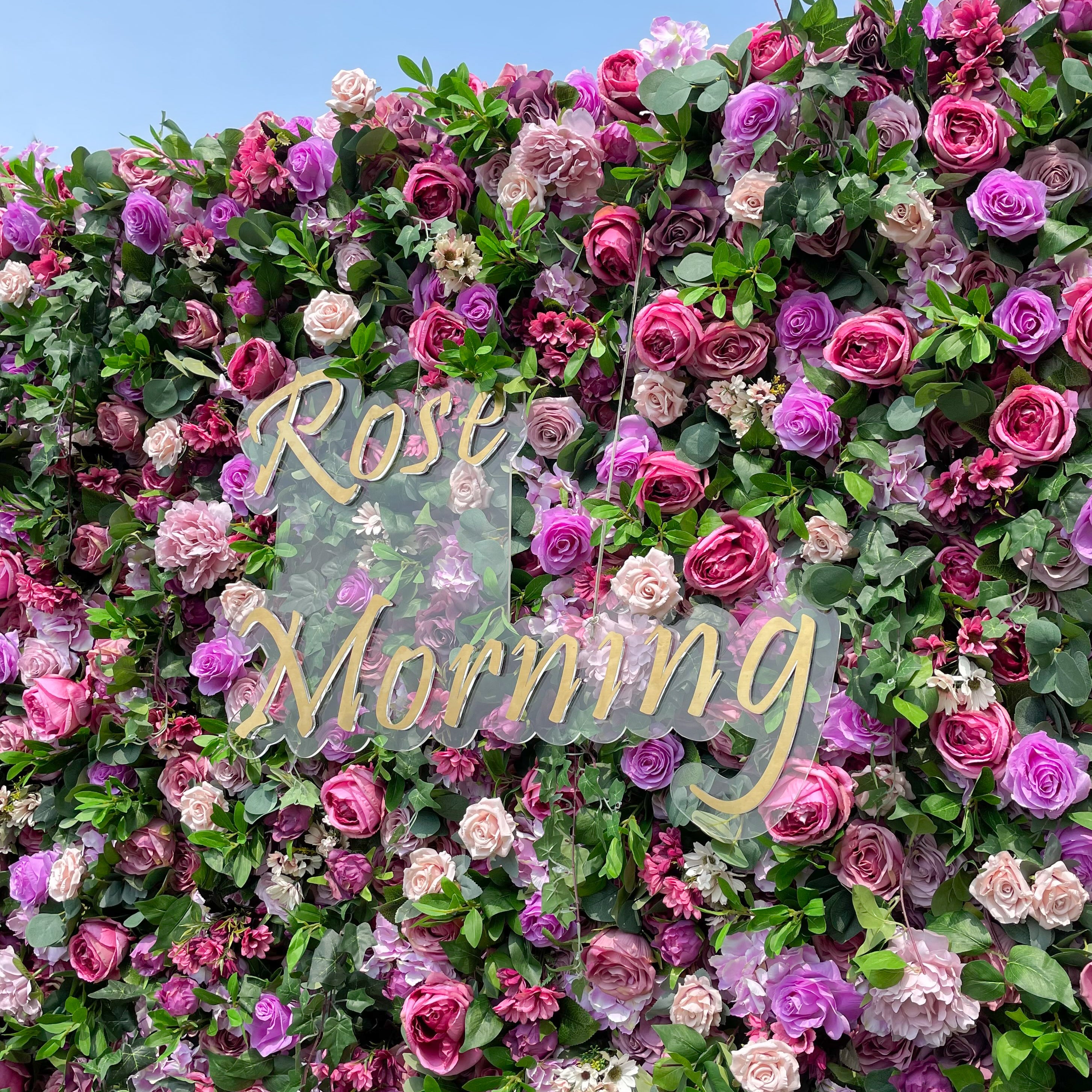 May：3D Fabric Artificial rolling up curtain flower wall Rose Morning