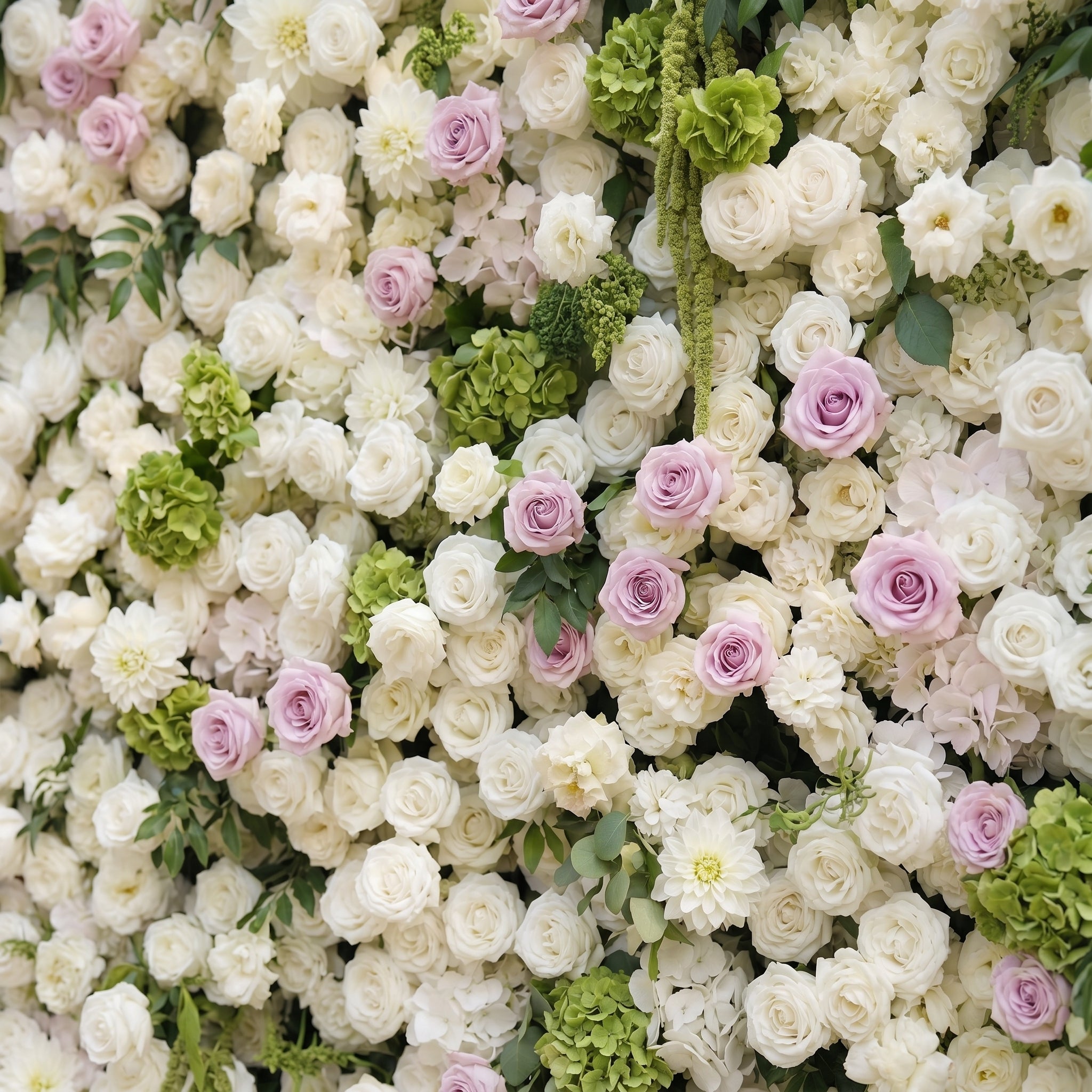 Jollyra:5D Blush Lavender Pink &amp; Ivory White Silk Rose Flower Wall Roll-Up Fabric Backdrop with Lush Greenery for Romantic Weddings &amp; Proposals