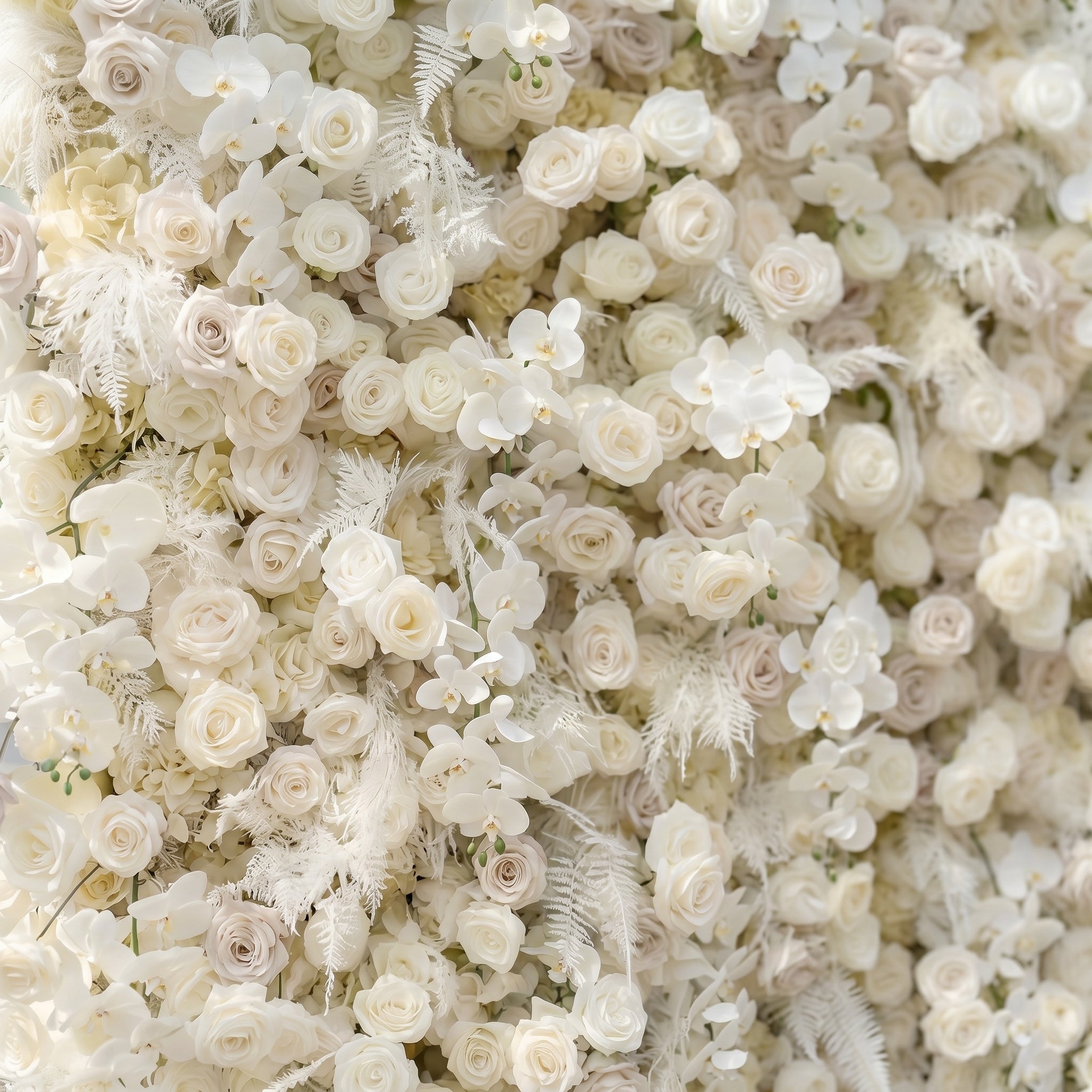 Junbelle:Elegant 5D White Floral Wall with Pampas Grass Accents Roll-Up Backdrop for Whimsical Bridal Showers