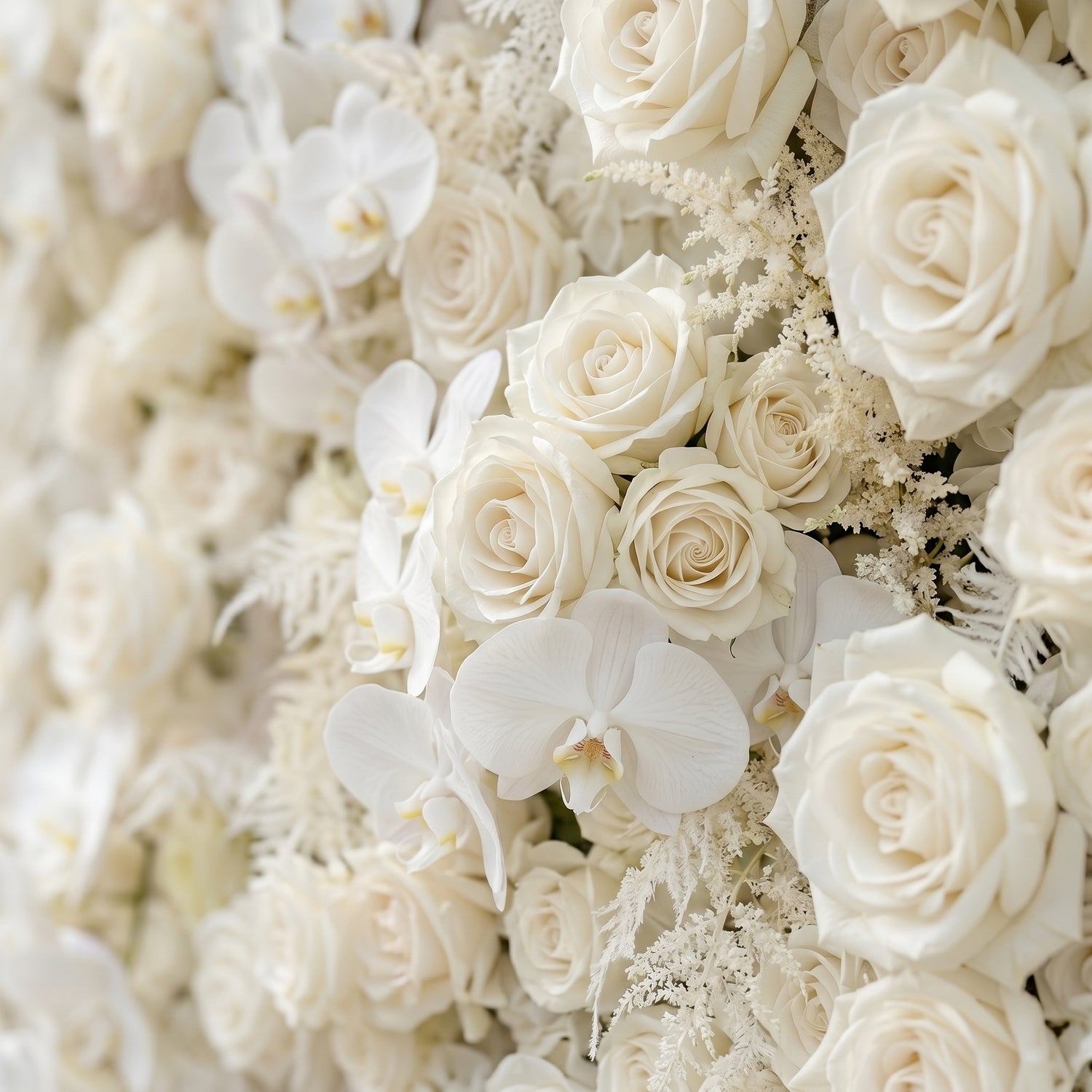 Junbelle:Elegant 5D White Floral Wall with Pampas Grass Accents Roll-Up Backdrop for Whimsical Bridal Showers