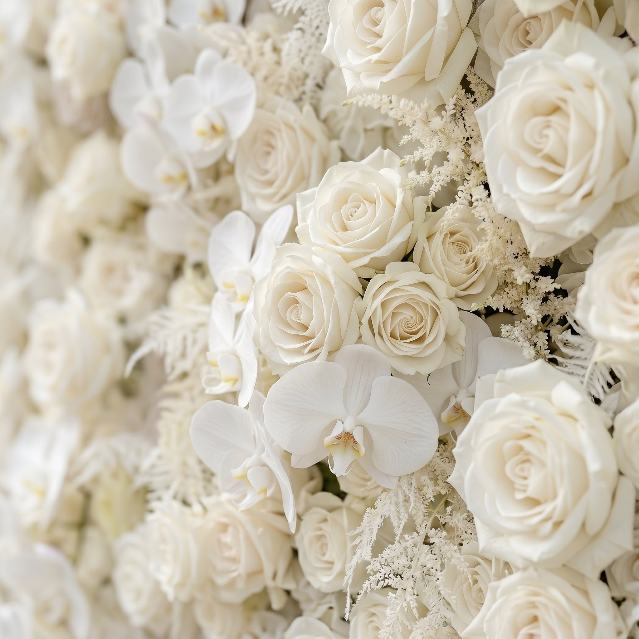 Junbelle:Elegant 5D White Floral Wall with Pampas Grass Accents Roll-Up Backdrop for Whimsical Bridal Showers