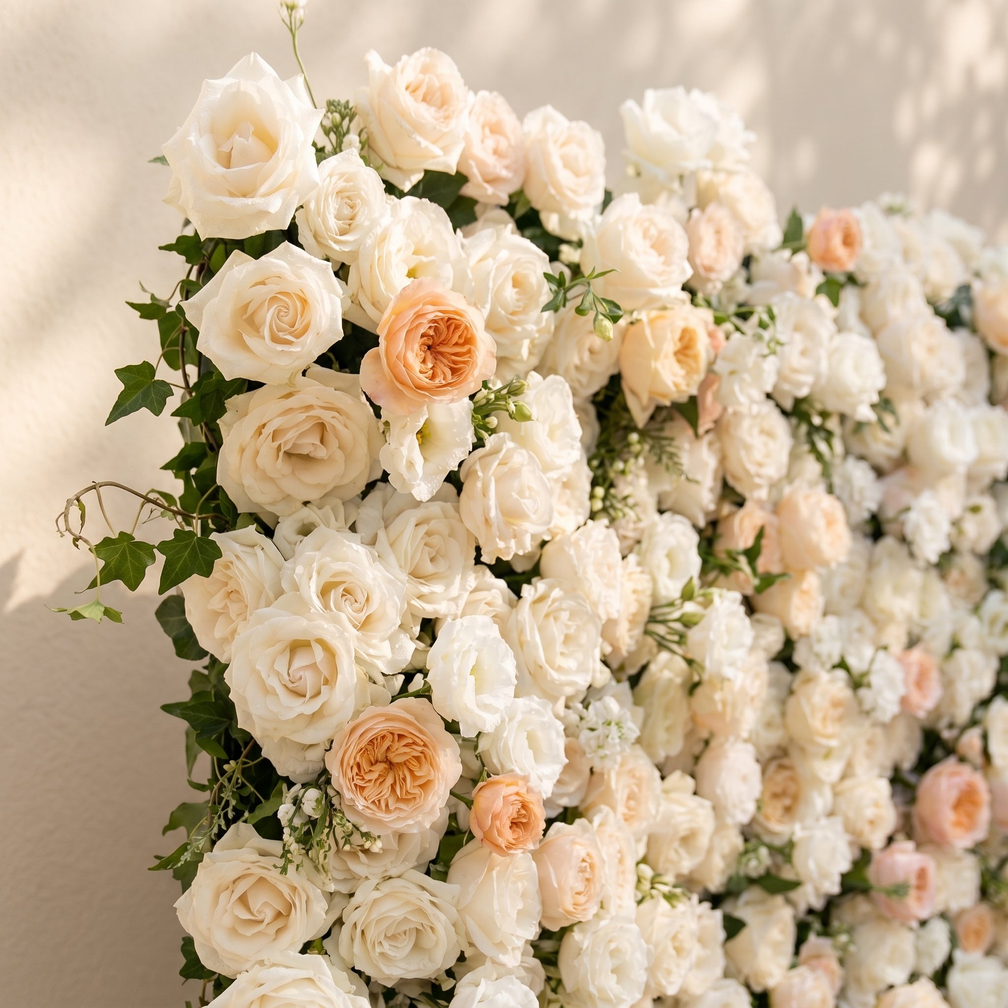 Karellora:5D Cream Ivory White Silk Rose Flower Wall Roll-Up Fabric Backdrop with Soft Peach Accents for Romantic Weddings &amp; Proposals