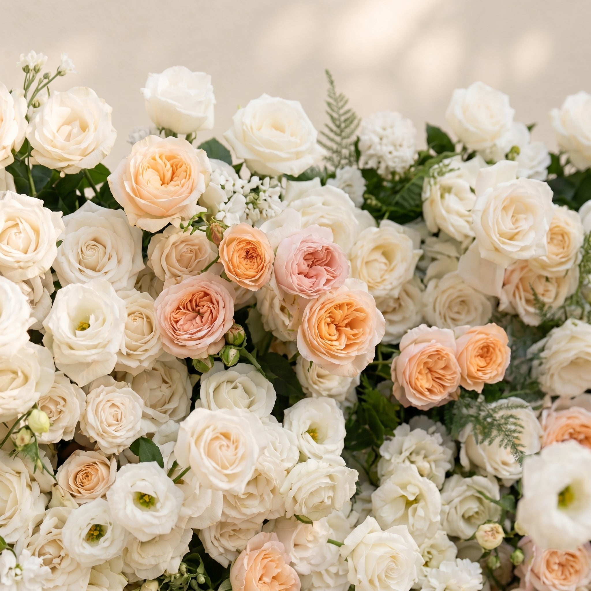 Karellora:5D Cream Ivory White Silk Rose Flower Wall Roll-Up Fabric Backdrop with Soft Peach Accents for Romantic Weddings &amp; Proposals