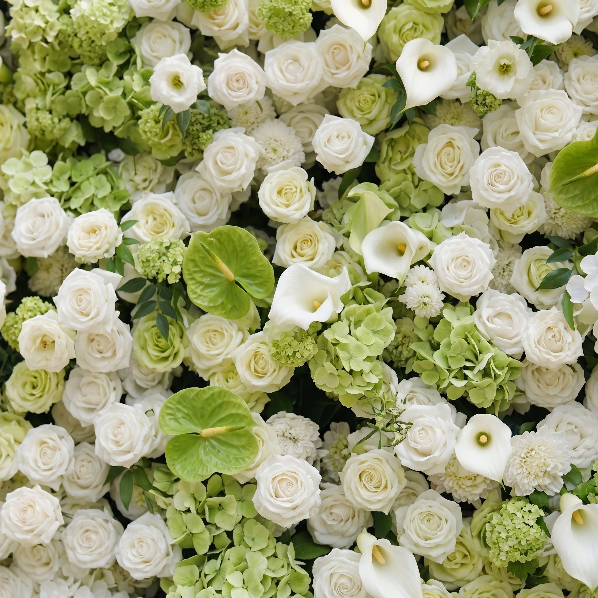 Keirmira:5D Fresh Green &amp; Ivory White Silk Rose Flower Wall Roll-Up Fabric Backdrop for Romantic Weddings &amp; Proposals