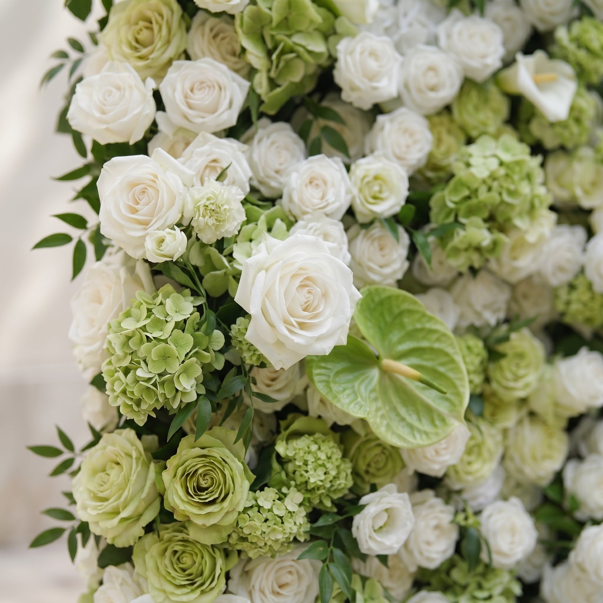 Keirmira:5D Fresh Green &amp; Ivory White Silk Rose Flower Wall Roll-Up Fabric Backdrop for Romantic Weddings &amp; Proposals