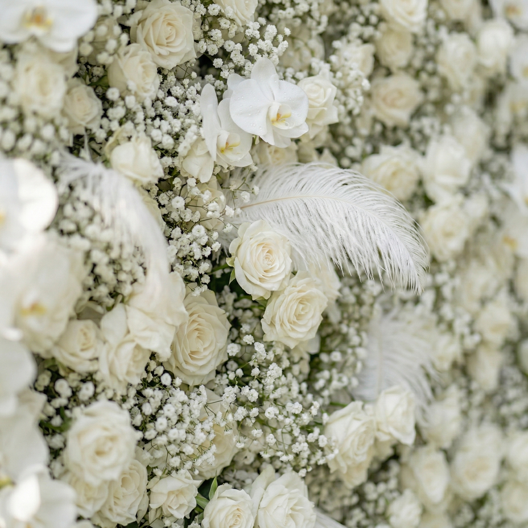 Lachlan: 5D Pure White Baby&