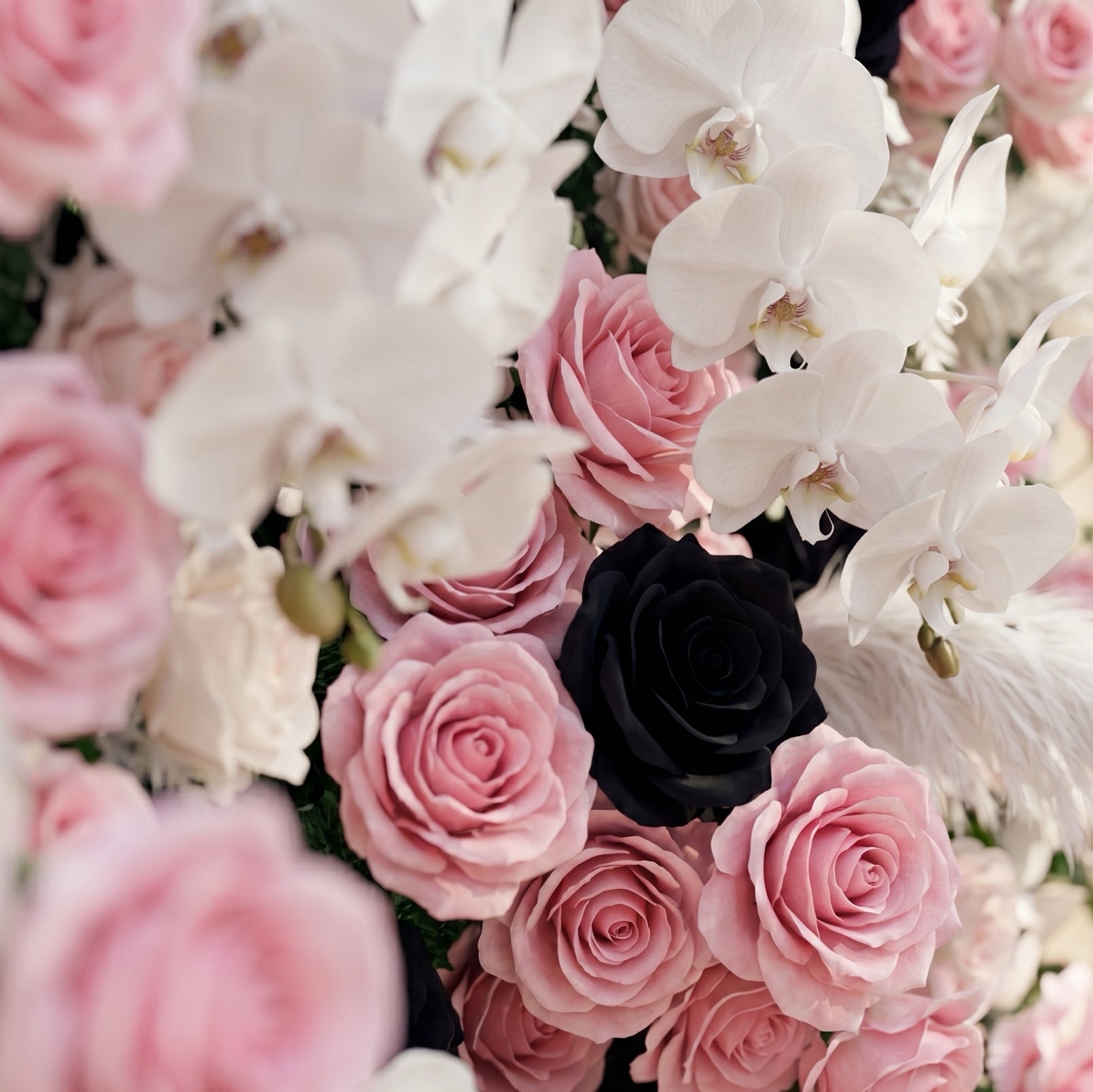 Larorae: Luxury 5D Black &amp; Blush Pink Silk Floral Wall Roll-Up Backdrop for Edgy Romantic Weddings