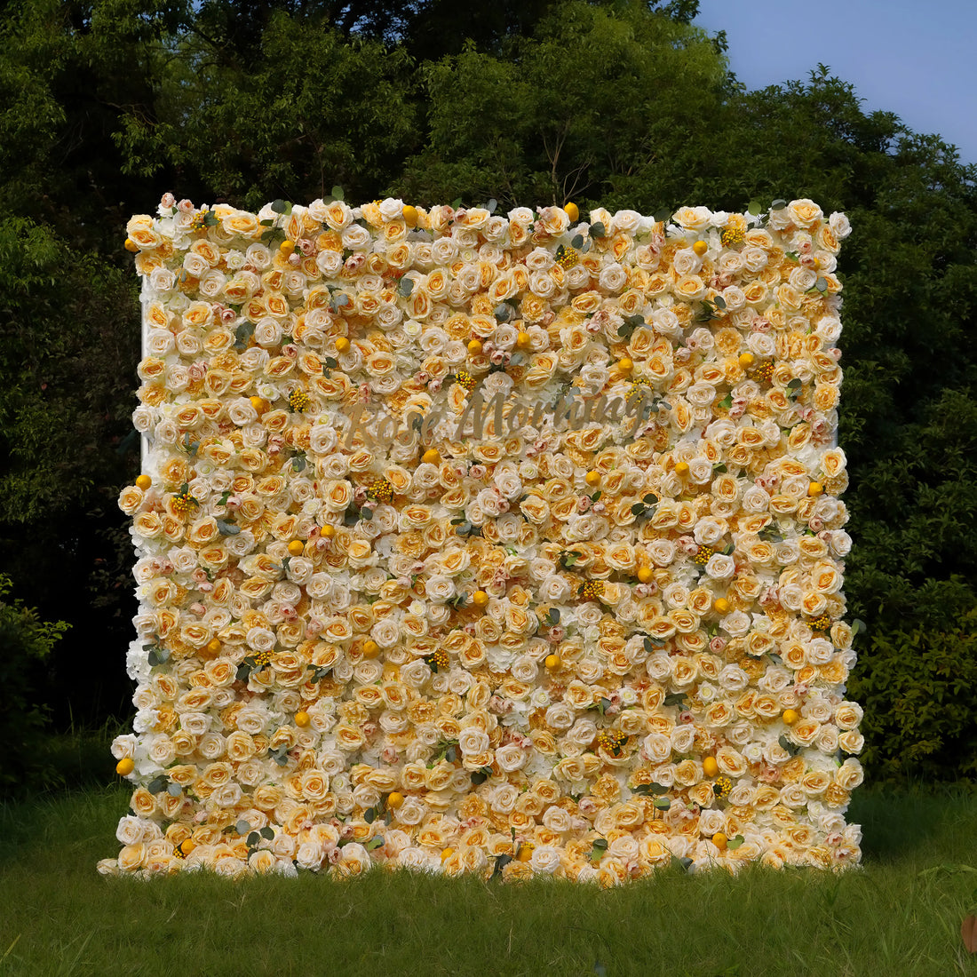 Lemon：7D Fabric Artificial rolling up curtain flower wall