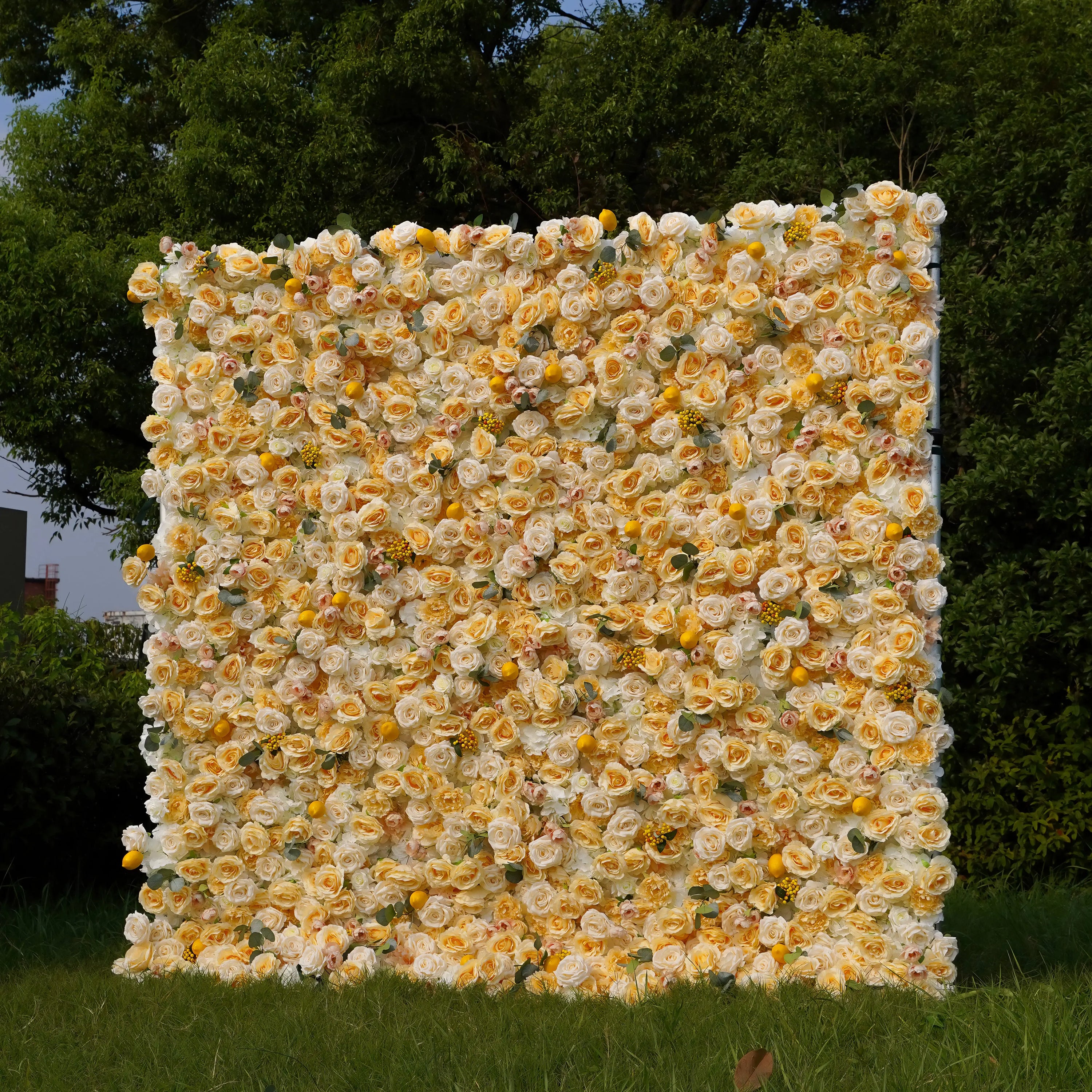 Lemon：7D Fabric Artificial rolling up curtain flower wall