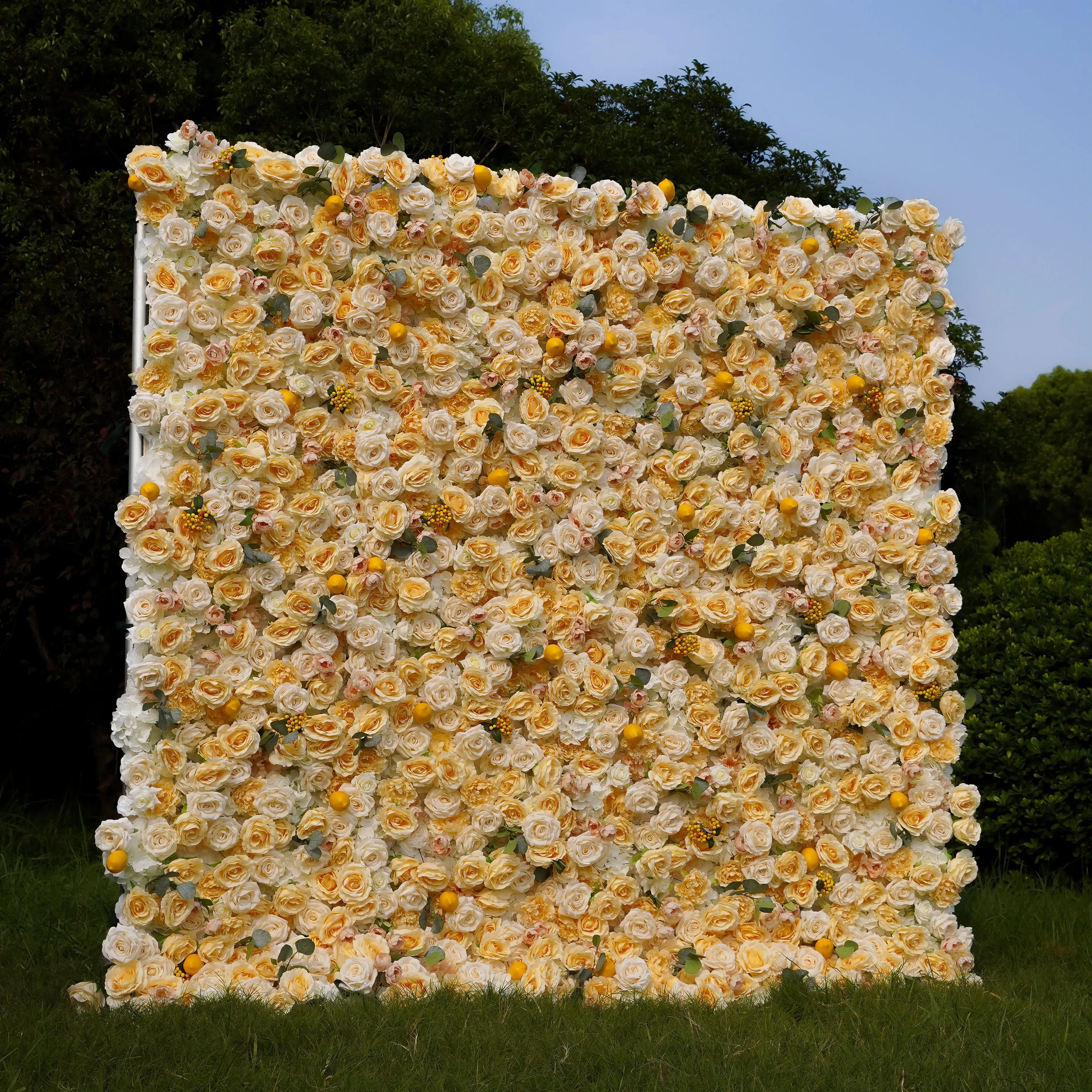 Lemon：7D Fabric Artificial rolling up curtain flower wall