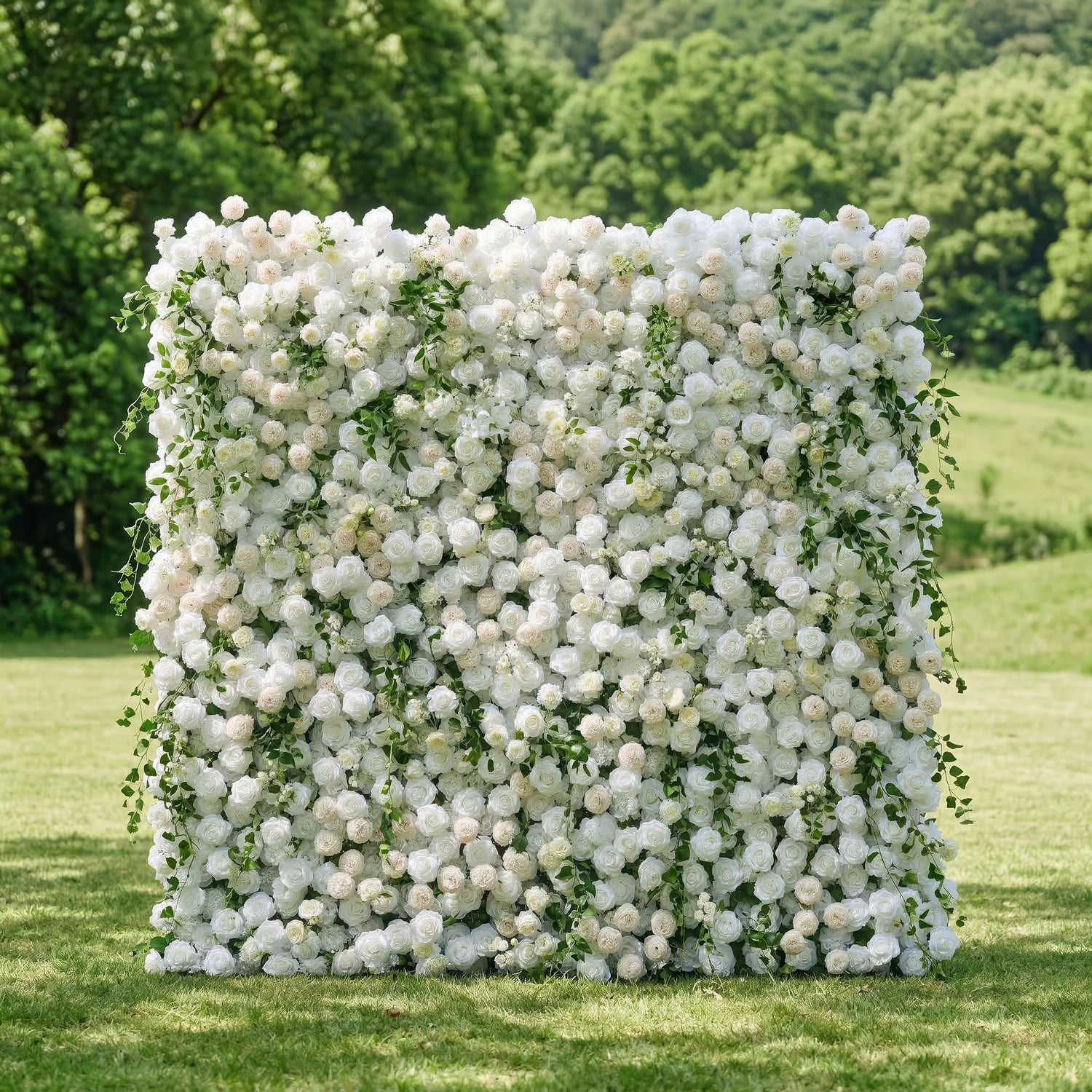 Lioraen: 5D Timeless Ivory and Light Champagne Flower Wall with Hanging Greenery Roll-Up Fabric Backdrop for Garden Party &amp; Event