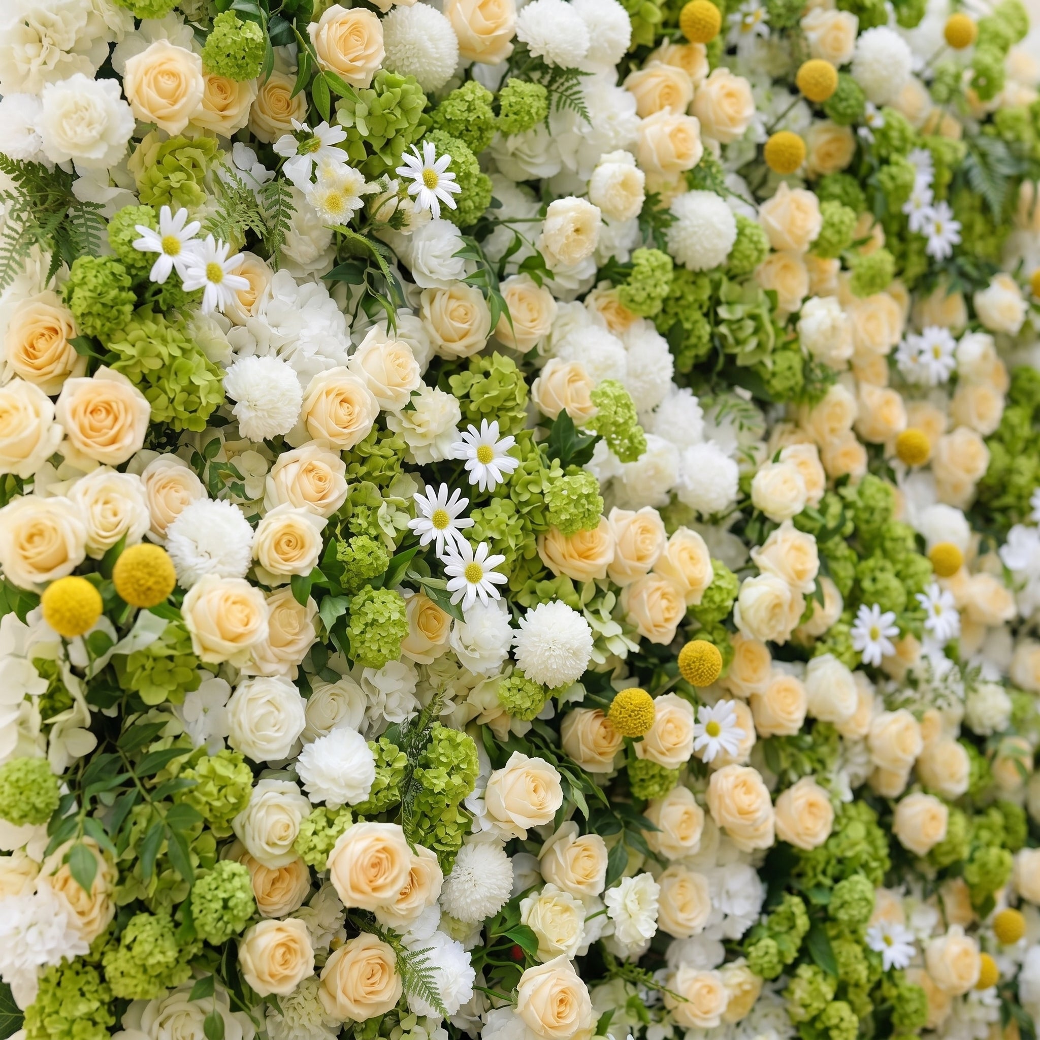 Liorsora: Classic and Luxury 5D Flower Wall with Champagne and Green Roses for Weddings&amp;Event Decor liorsora detail 1