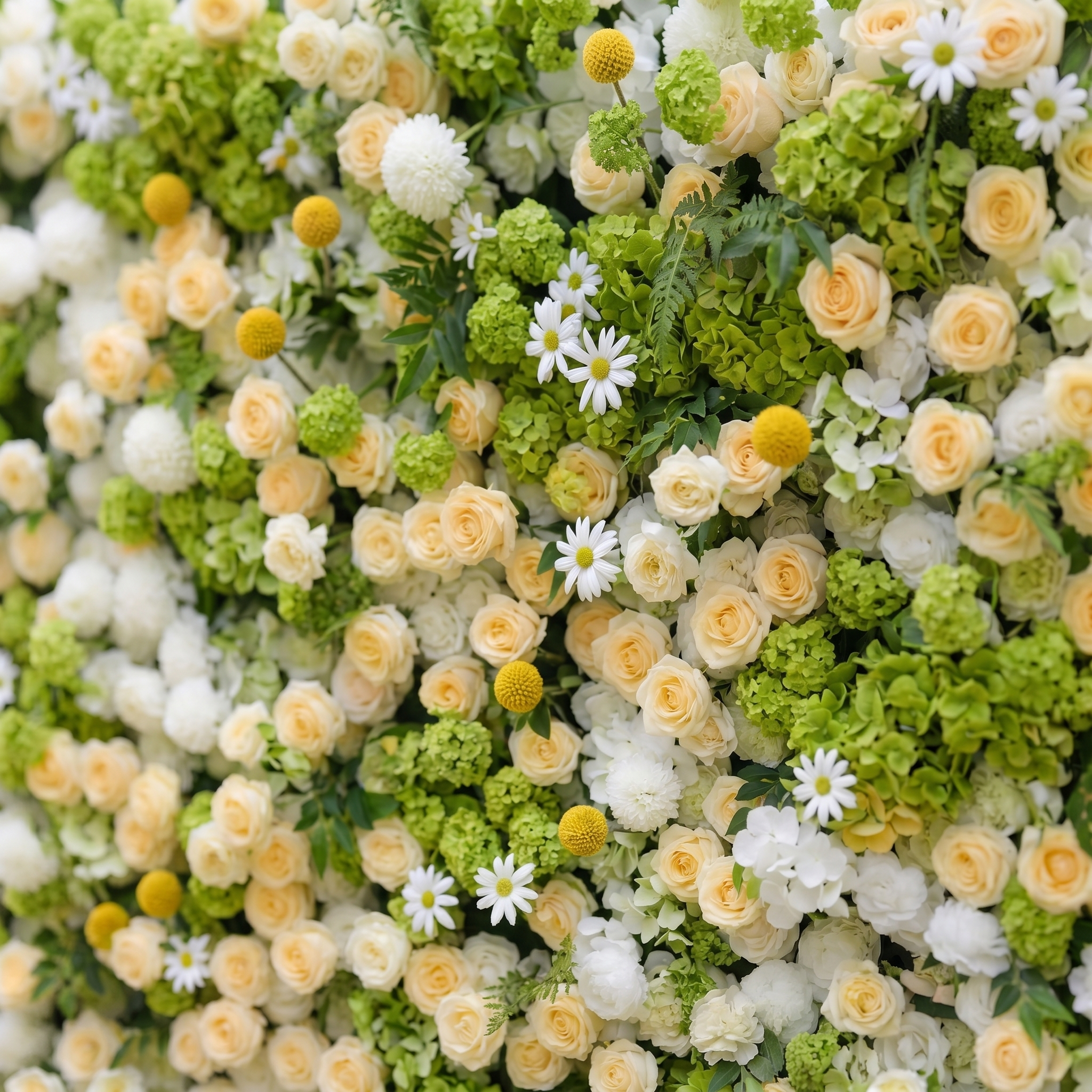 Liorsora: Classic and Luxury 5D Flower Wall with Champagne and Green Roses for Weddings&amp;Event Decor liorsora detail 2