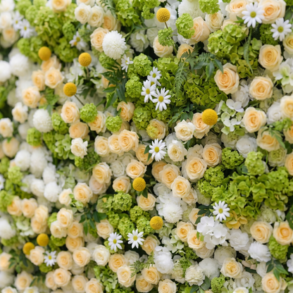 Liorsora: Classic and Luxury 5D Flower Wall with Champagne and Green Roses for Weddings&amp;Event Decor liorsora detail 2