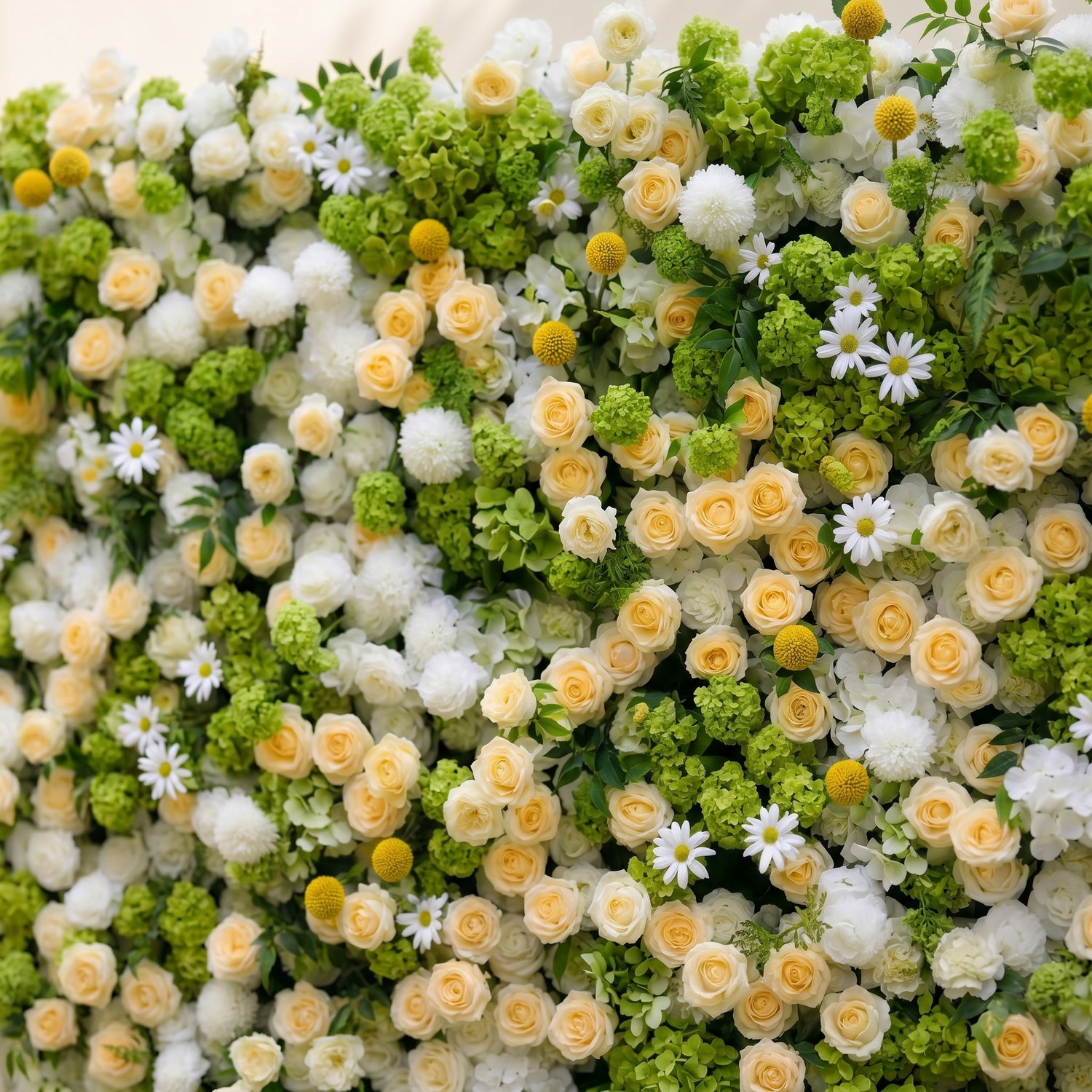 Liorsora: Classic and Luxury 5D Flower Wall with Champagne and Green Roses for Weddings&amp;Event Decor liorsora detail 3