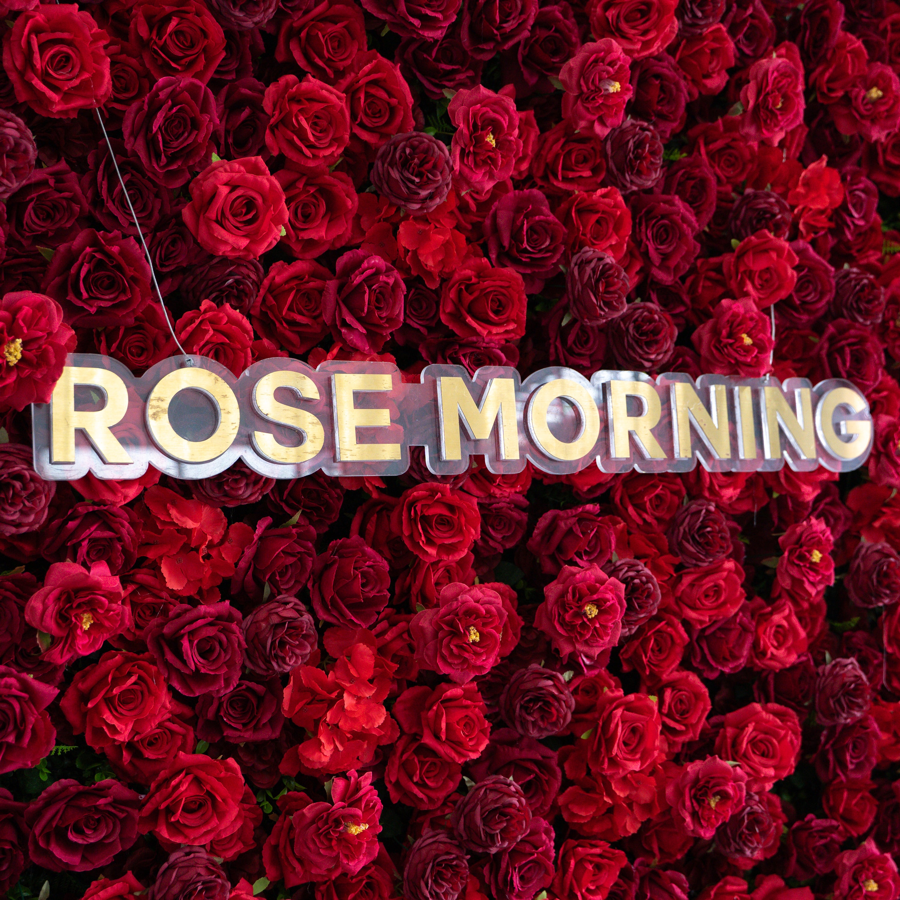 Luna 3D Layered Flower Wall - Luxury Silk Rolling Backdrop