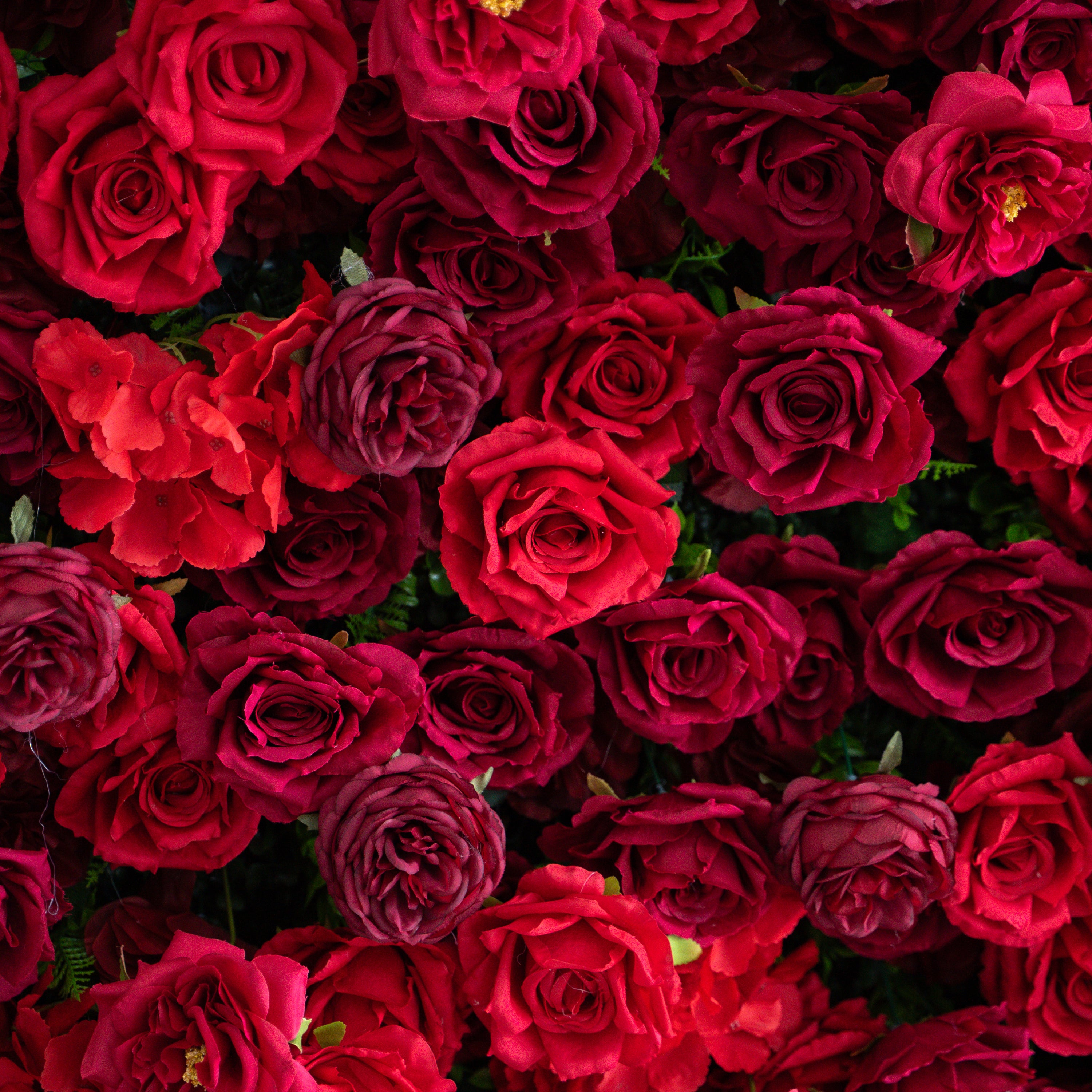 Luna 3D Layered Flower Wall - Luxury Silk Rolling Backdrop