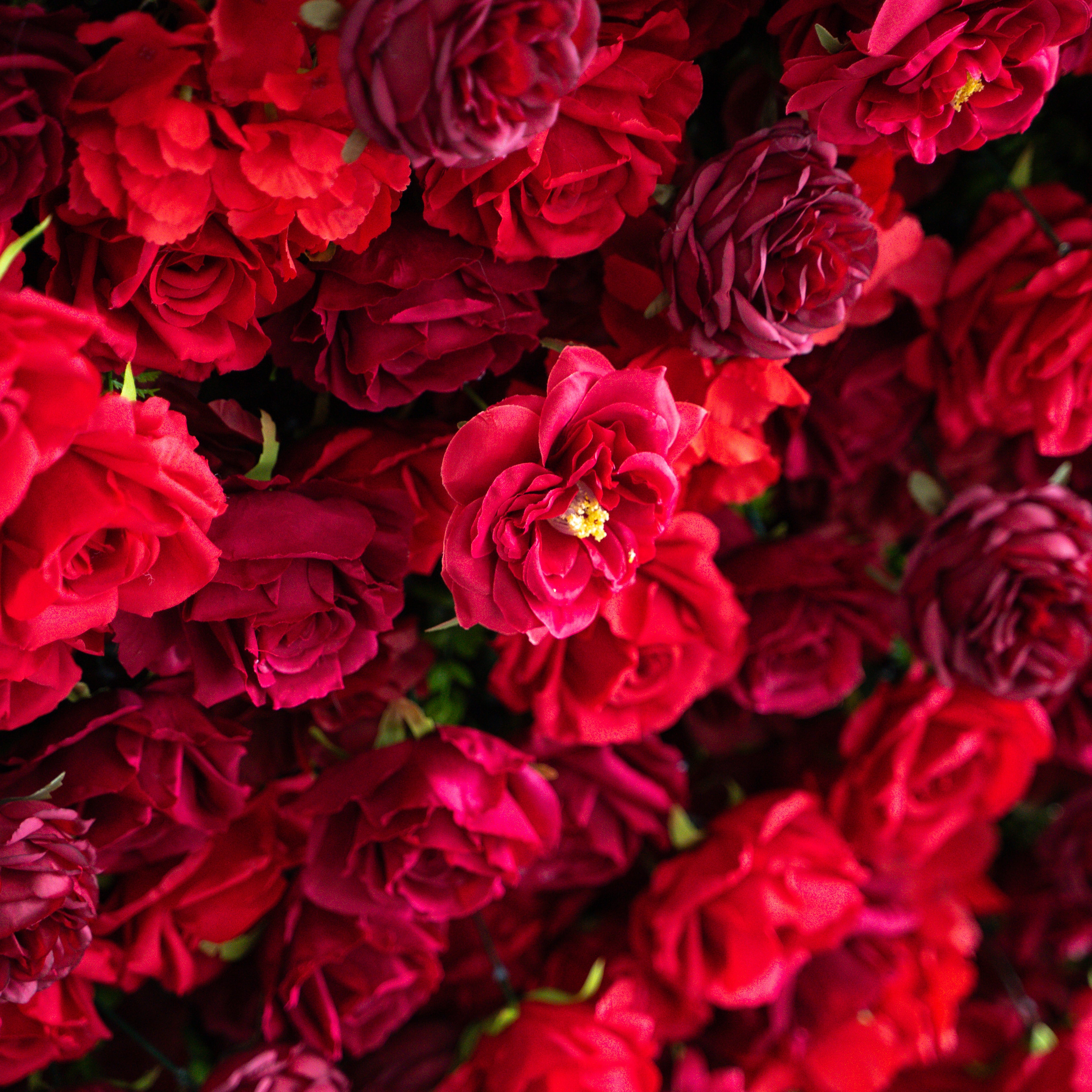 Luna Plus：3D Fabric Artificial rolling up curtain flower wall