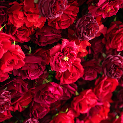 Luna Plus：3D Fabric Artificial rolling up curtain flower wall