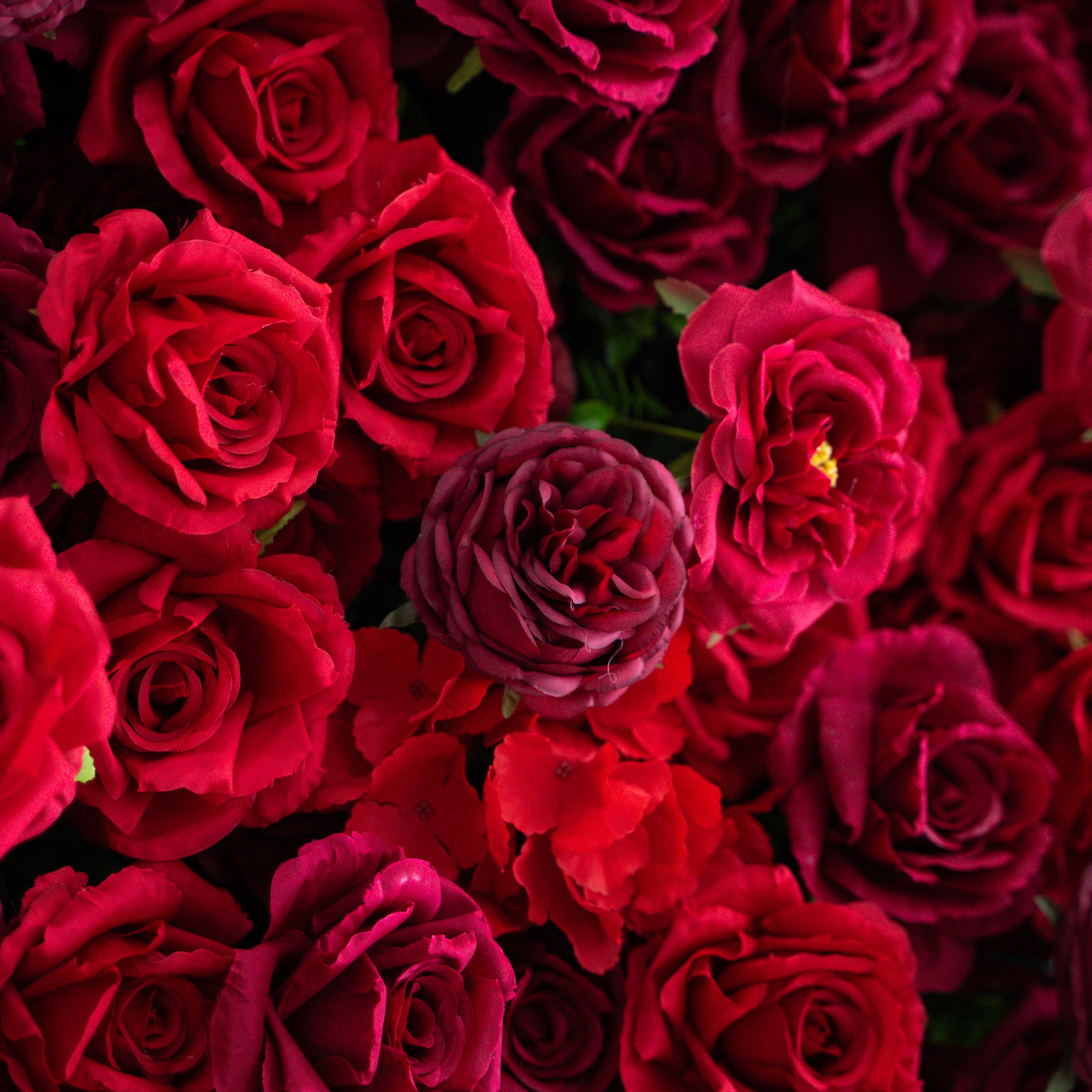 Luna 3D Layered Flower Wall - Luxury Silk Rolling Backdrop