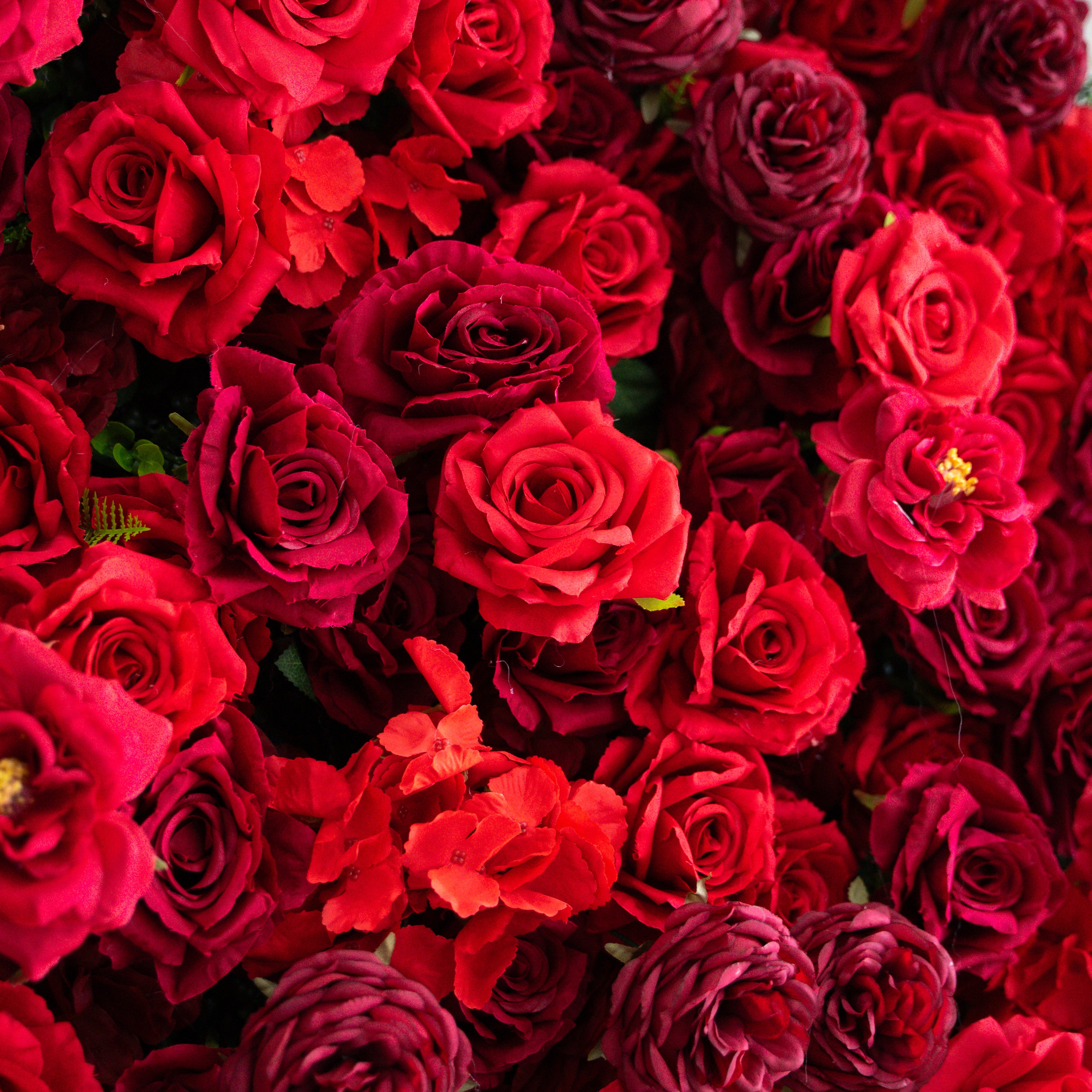 Luna 3D Layered Flower Wall - Luxury Silk Rolling Backdrop