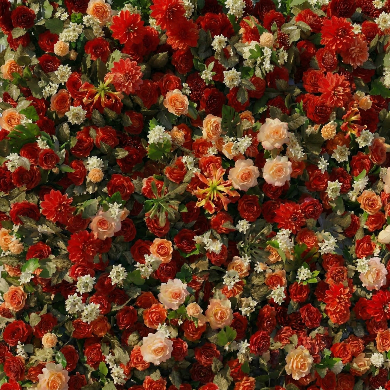 Luxira: 4D Crimson and Champagne Silk Rose Flower Wall Roll-Up Fabric Backdrop for Luxury Weddings &amp; Events Decoration