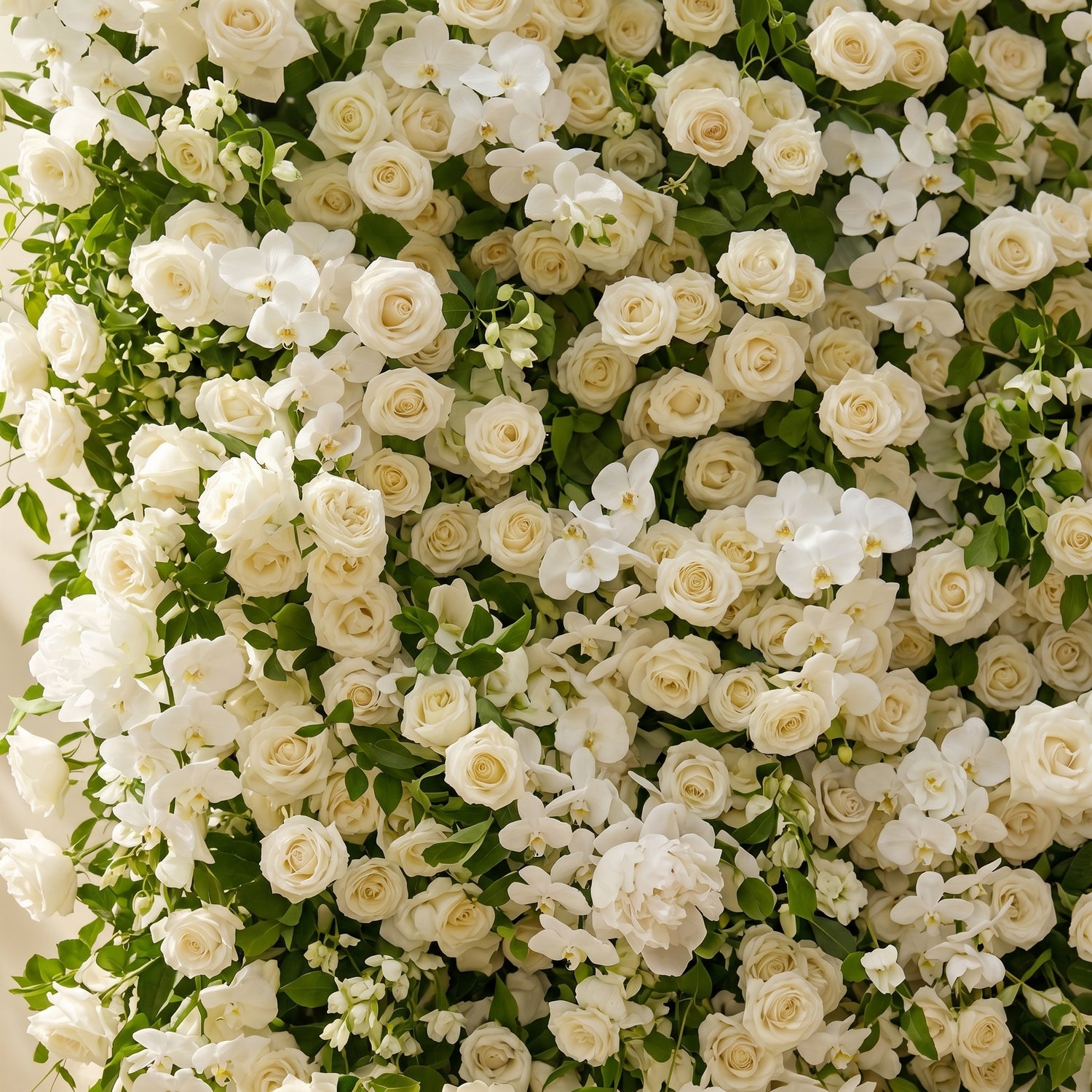 Maelette:Classic and Luxury 5D White Roses Flower Wall with Greenery for Weddings&amp;Event Decor maelette detail 1
