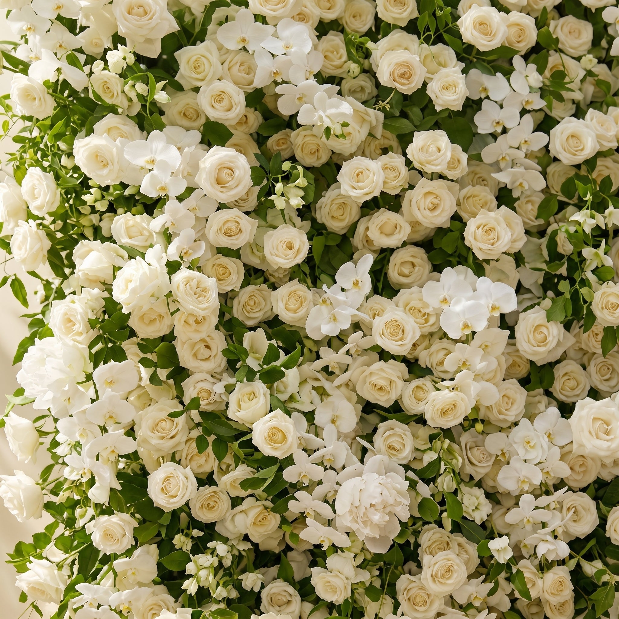 Maelette:Classic and Luxury 5D White Roses Flower Wall with Greenery for Weddings&amp;Event Decor maelette detail 1