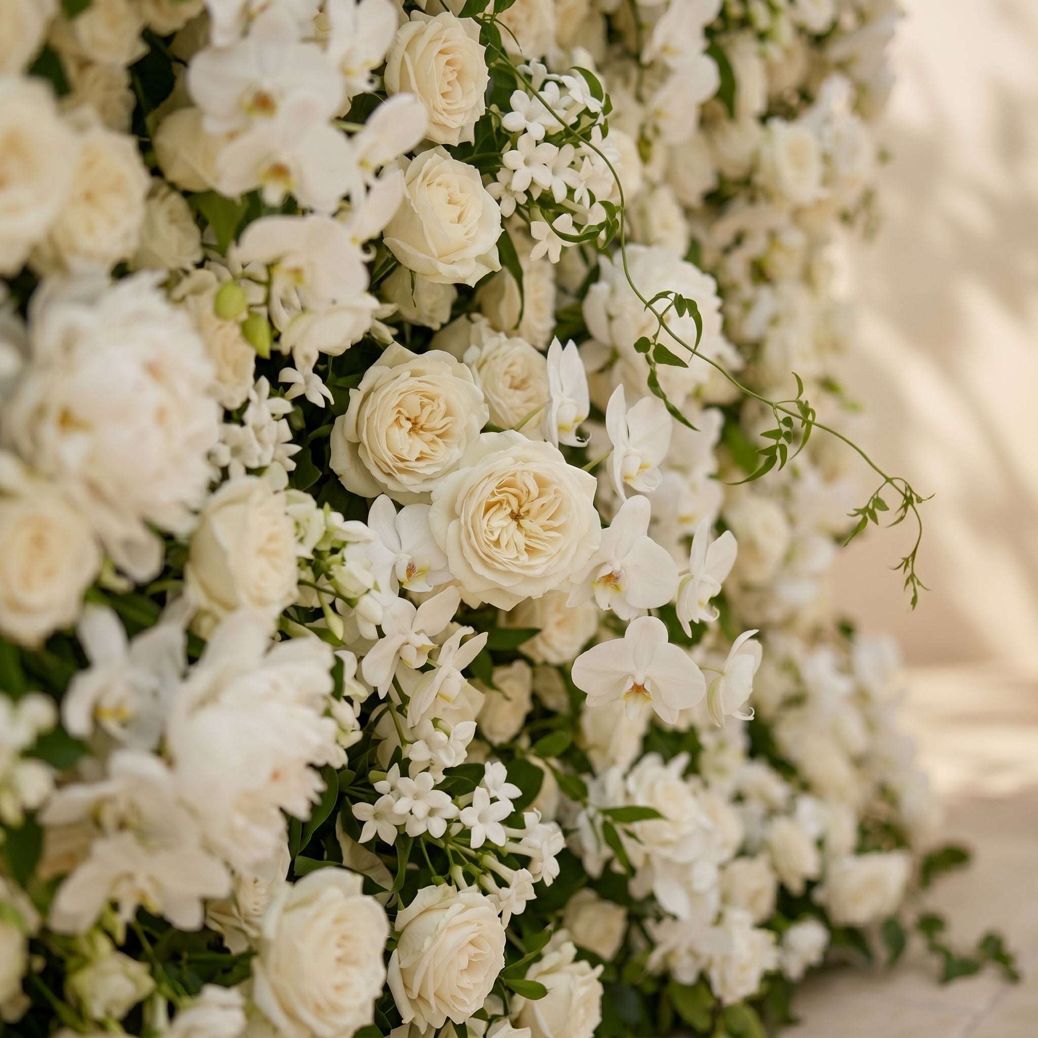 Maelette:Classic and Luxury 5D White Roses Flower Wall with Greenery for Weddings&amp;Event Decor maelette detail 2