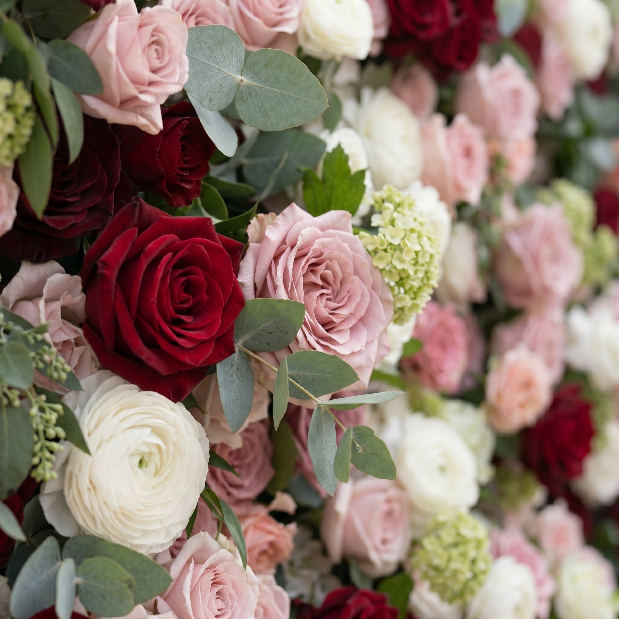 Mavenrella:5D Burgundy Red, Blush Pink &amp; Ivory White Silk Rose Flower Wall Roll-Up Fabric Backdrop for Romantic Weddings &amp; Proposals
