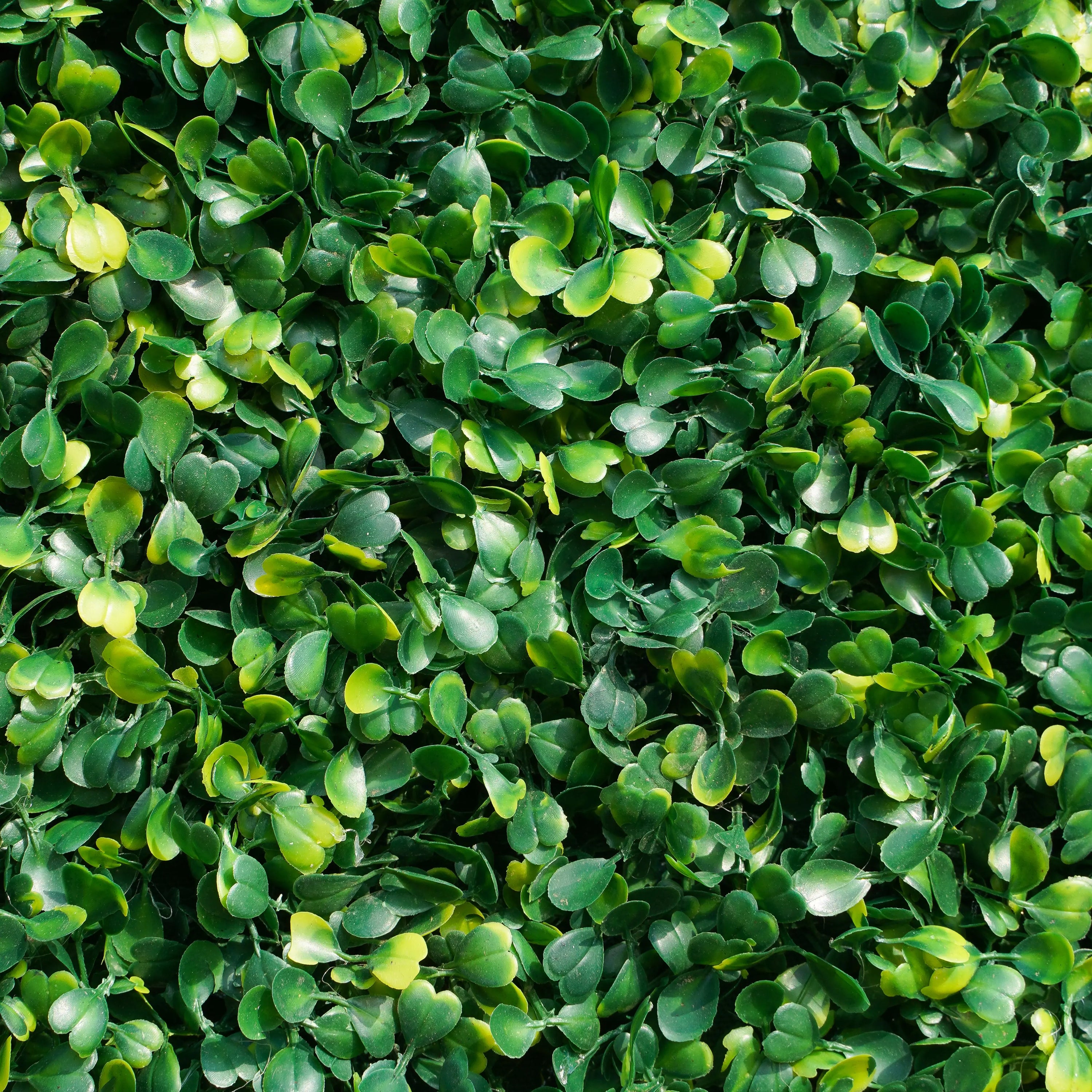 Milan: Fabric Artificial rolling up curtain green flower wall(In Us Stock)