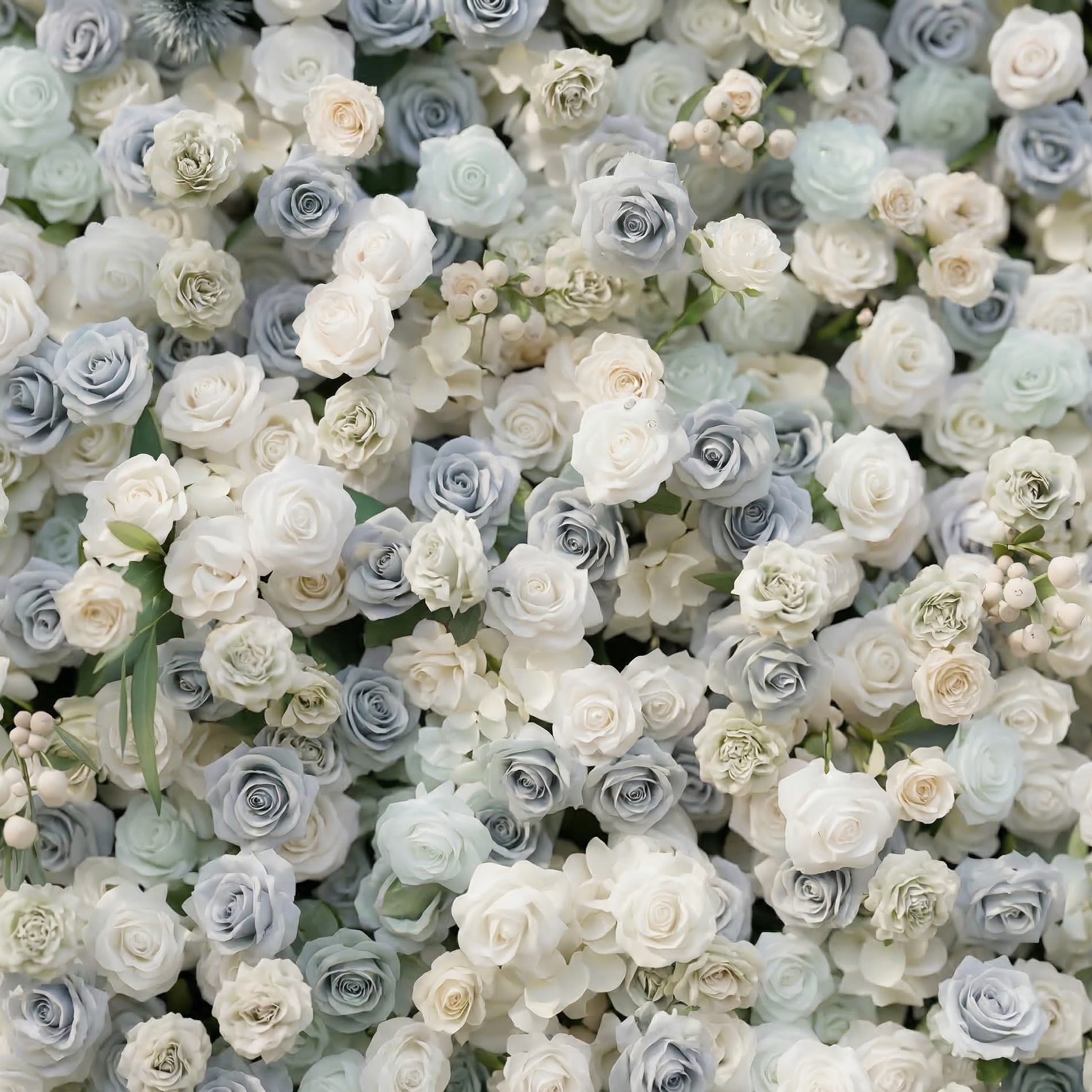 Mireli: 5D Dusty Blue and Ivory Silk Rose Flower Wall Roll-Up Fabric Backdrop for Elegant Weddings &amp; Events