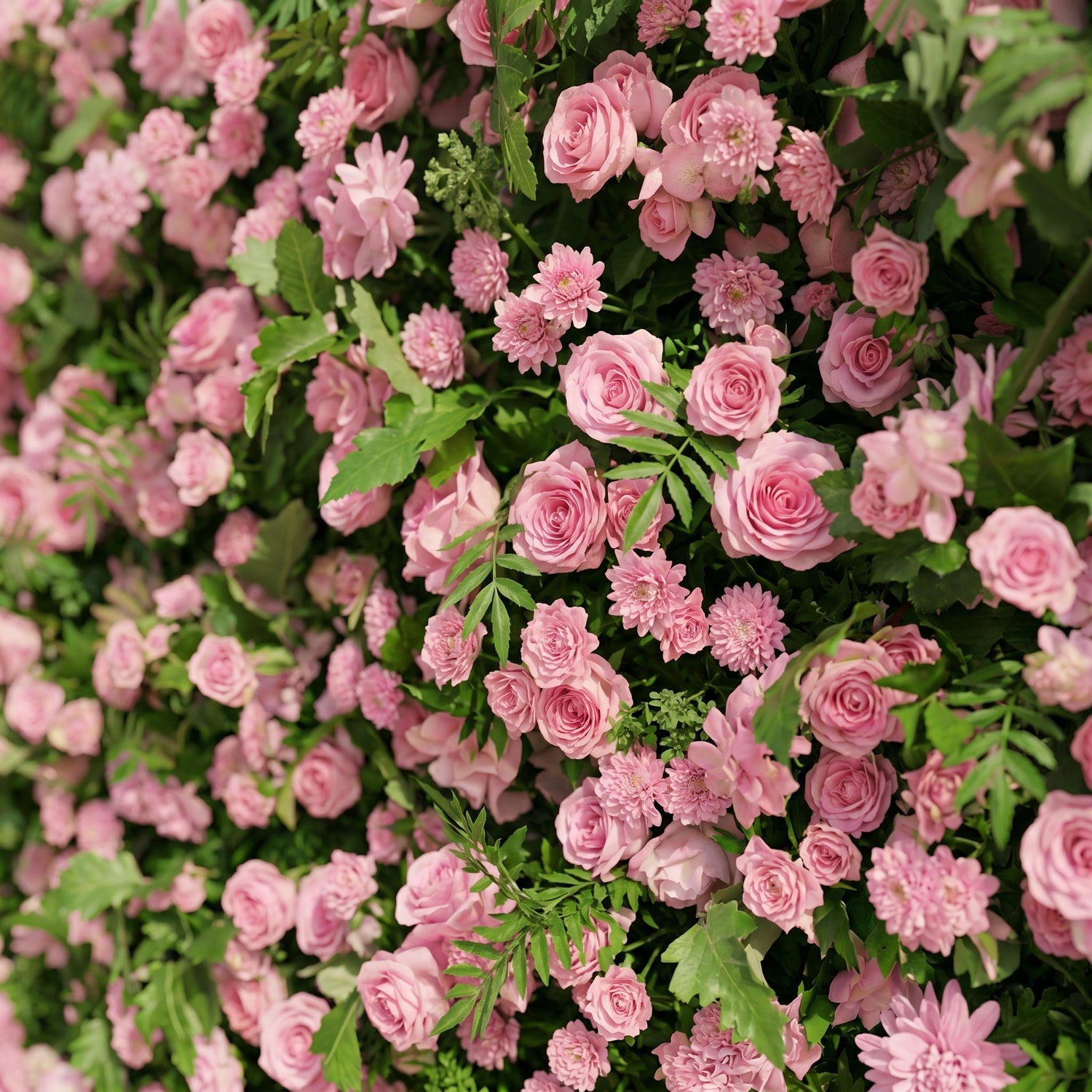 Mirenyne:Luxury 5D Pink roses Flower wall with Greenery for Outdoor Weddings&amp;Event Decor mirenyne detail 1