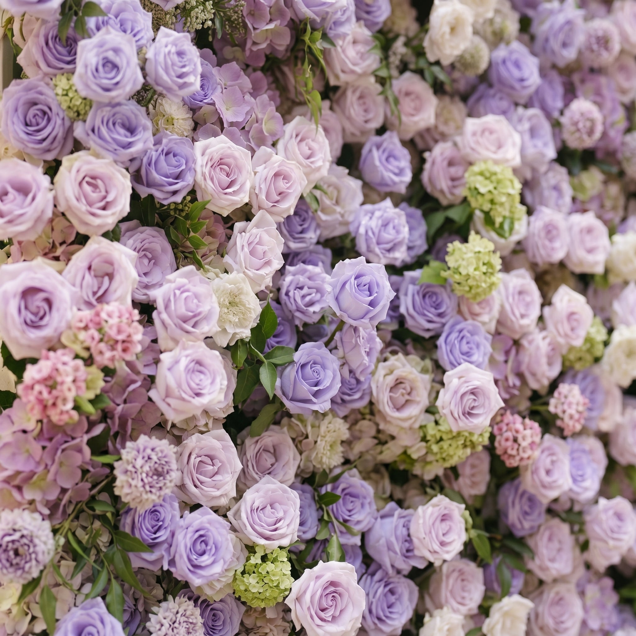Morbelle:5D Lavender Purple Silk Rose Flower Wall Roll-Up Fabric Backdrop for Romantic Weddings &amp; Proposals