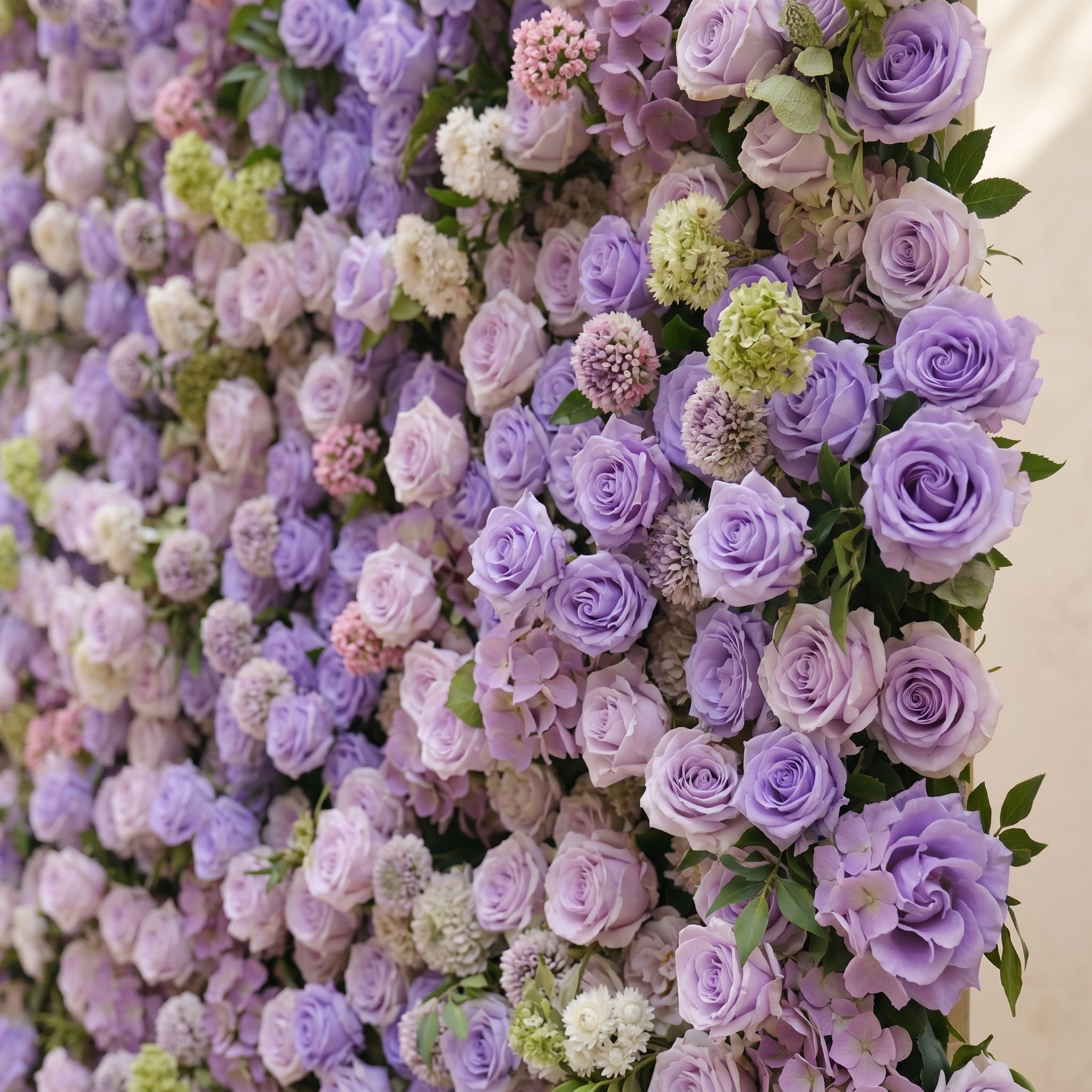 Morbelle:5D Lavender Purple Silk Rose Flower Wall Roll-Up Fabric Backdrop for Romantic Weddings &amp; Proposals