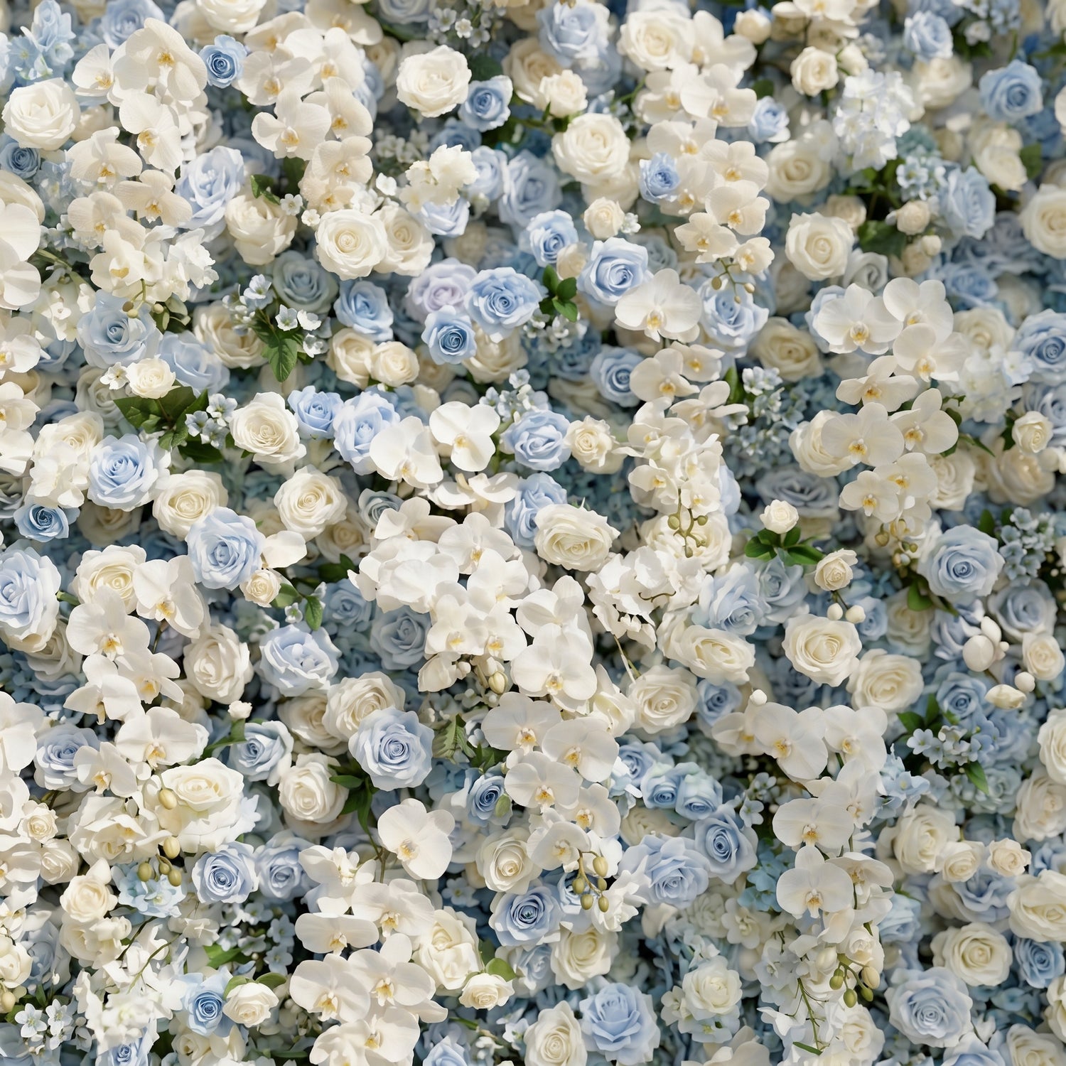 Novdelle:New Luxury 5D Blue&amp;White roses Flower wall for Wedding&amp;Event Decor novdelle detail 1