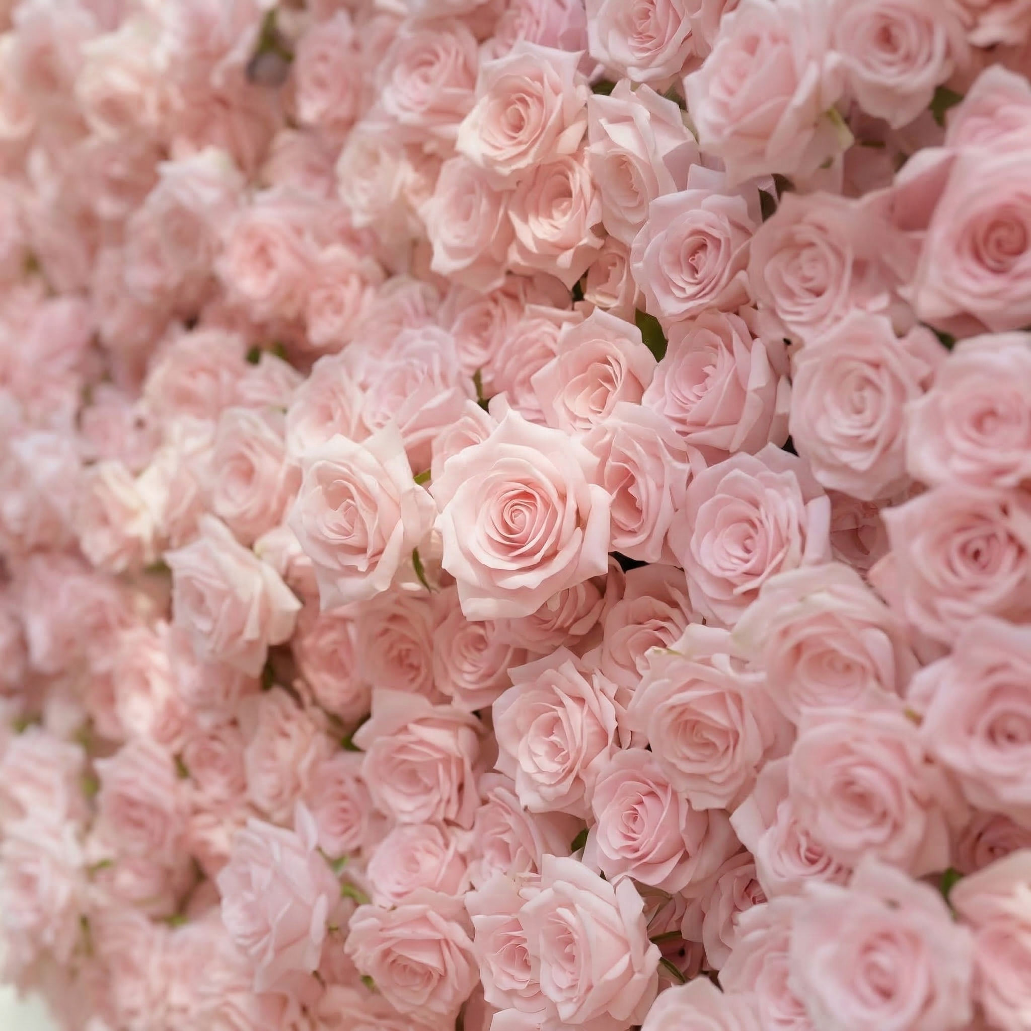Orelune: 3D Ethereal Blush Pink Heart-Shaped Artificial Floral Backdrop for Romantic Wedding &amp; Proposal