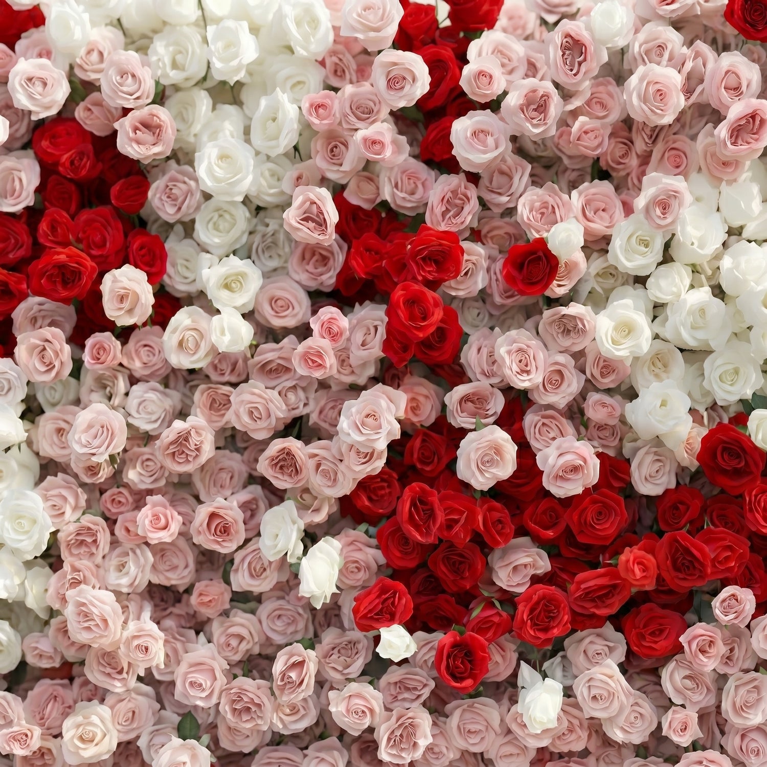 Pearlora:Luxury 5D Wedding Flower wall with White&amp;Pink&amp;Red Roses for Wedding&amp;Event Decor pearlora detail 1