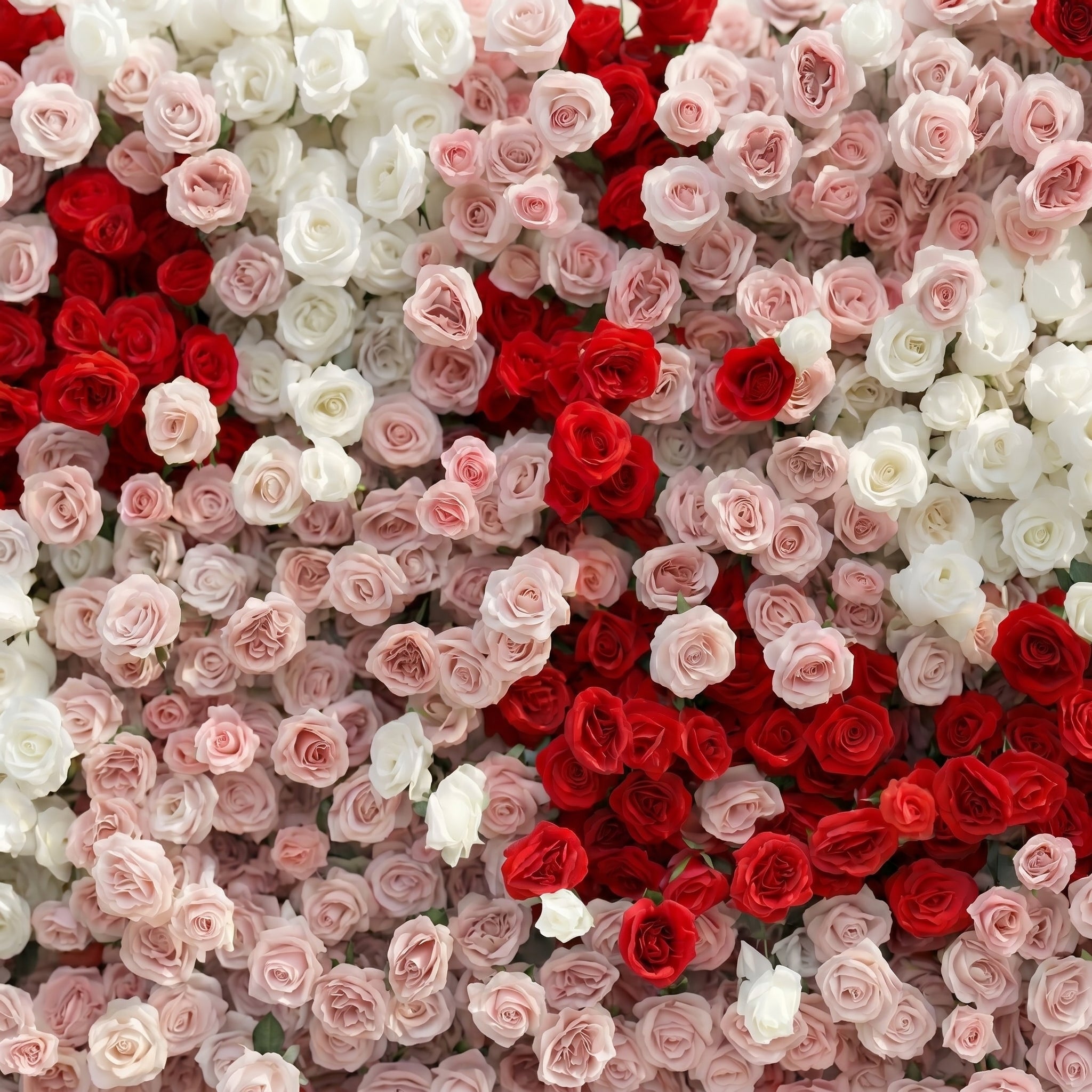 Pearlora:Luxury 5D Wedding Flower wall with White&amp;Pink&amp;Red Roses for Wedding&amp;Event Decor pearlora detail 1