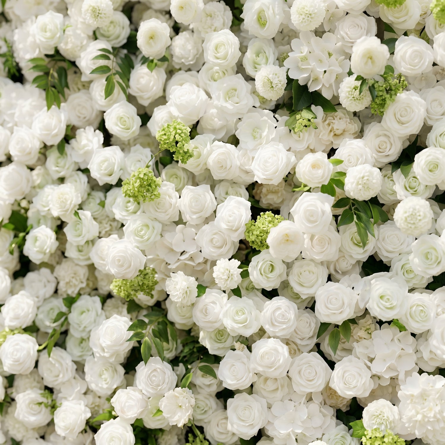 Raellyra:5D Soft Green &amp; Ivory White Silk Rose Flower Wall Roll-Up Fabric Backdrop for Romantic Weddings &amp; Proposals