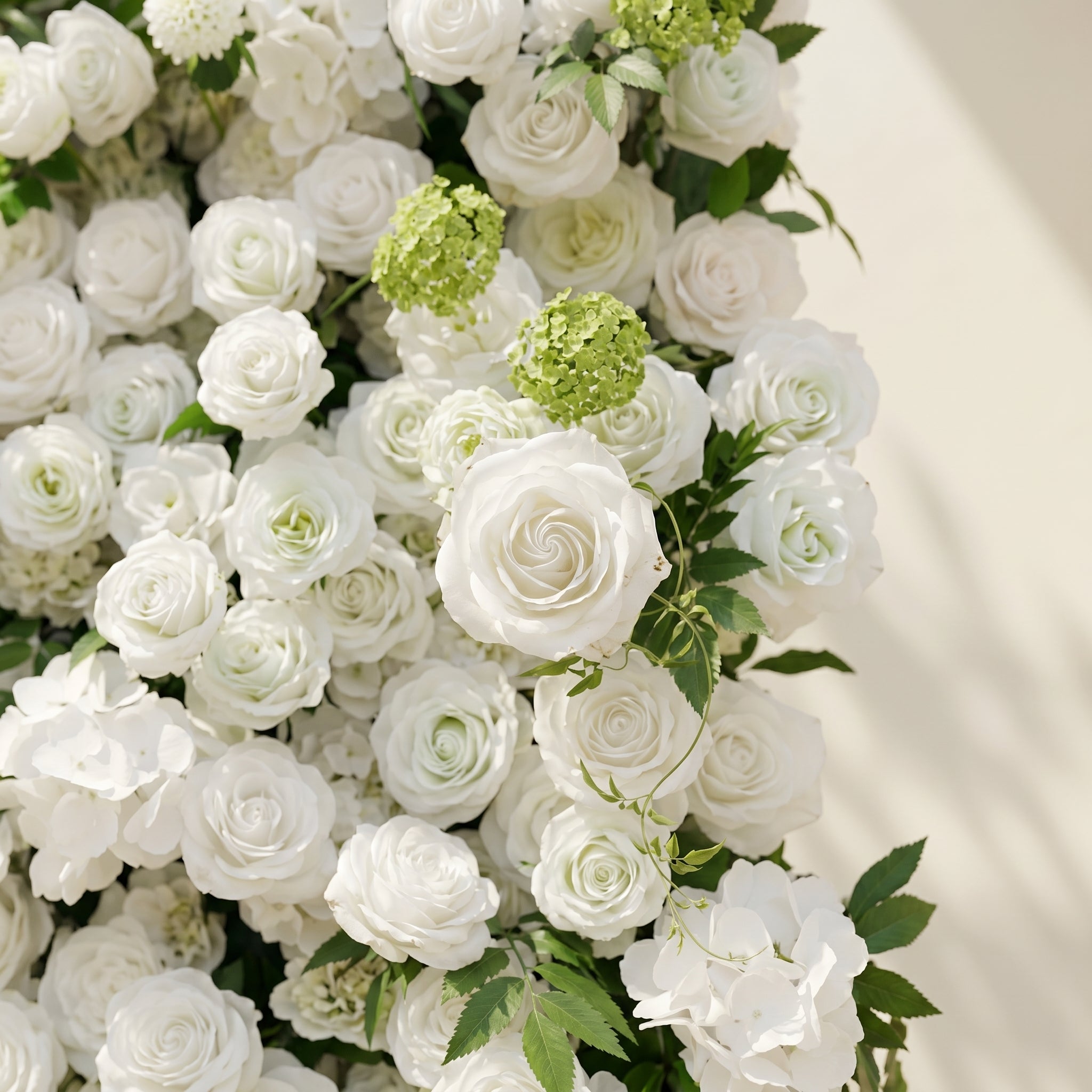 Raellyra:5D Soft Green &amp; Ivory White Silk Rose Flower Wall Roll-Up Fabric Backdrop for Romantic Weddings &amp; Proposals