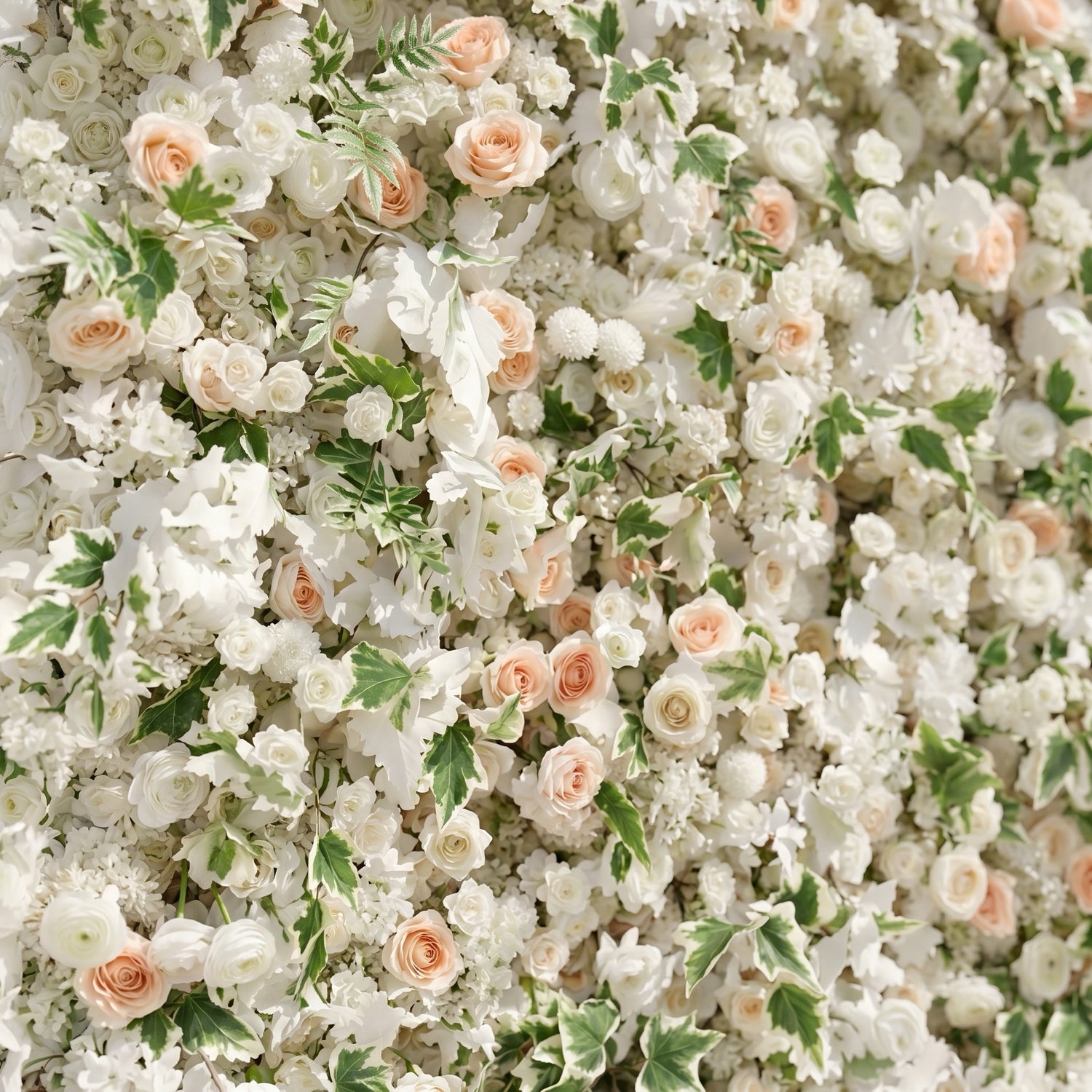 Ralyra:Luxury 5D White&amp;Champagne roses Flower wall with Greenery for Wedding&amp;Event Decor ralyra detail 1