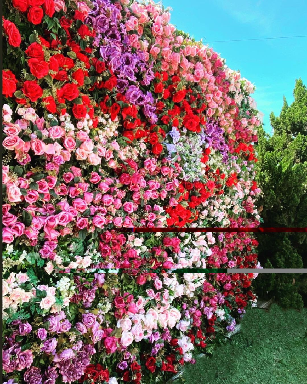 The flower walls are made of artificial flowers in various colors, layered at different levels to create a lush, elegant and natural look. The exclusive zipper design and roll-up design make it easy to install and remove.Rose Morning